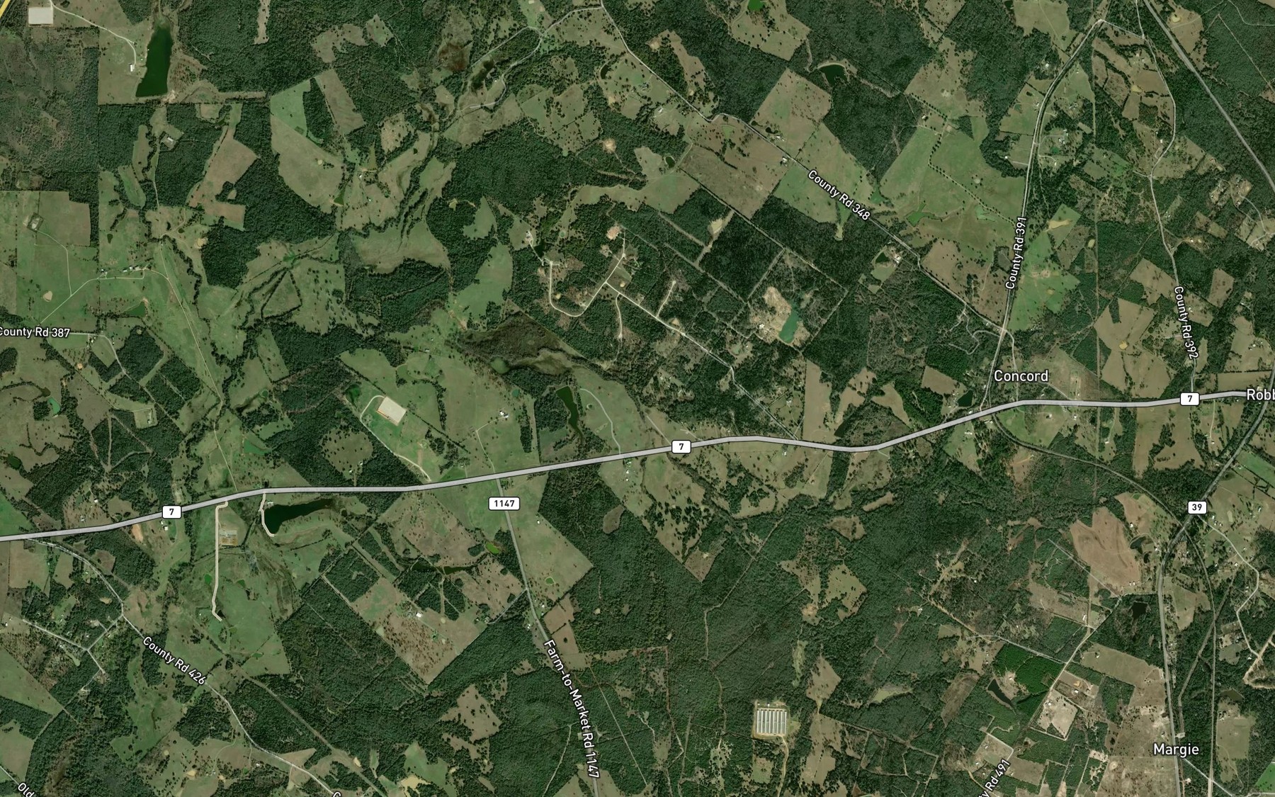 Satellite map of the Big Branch