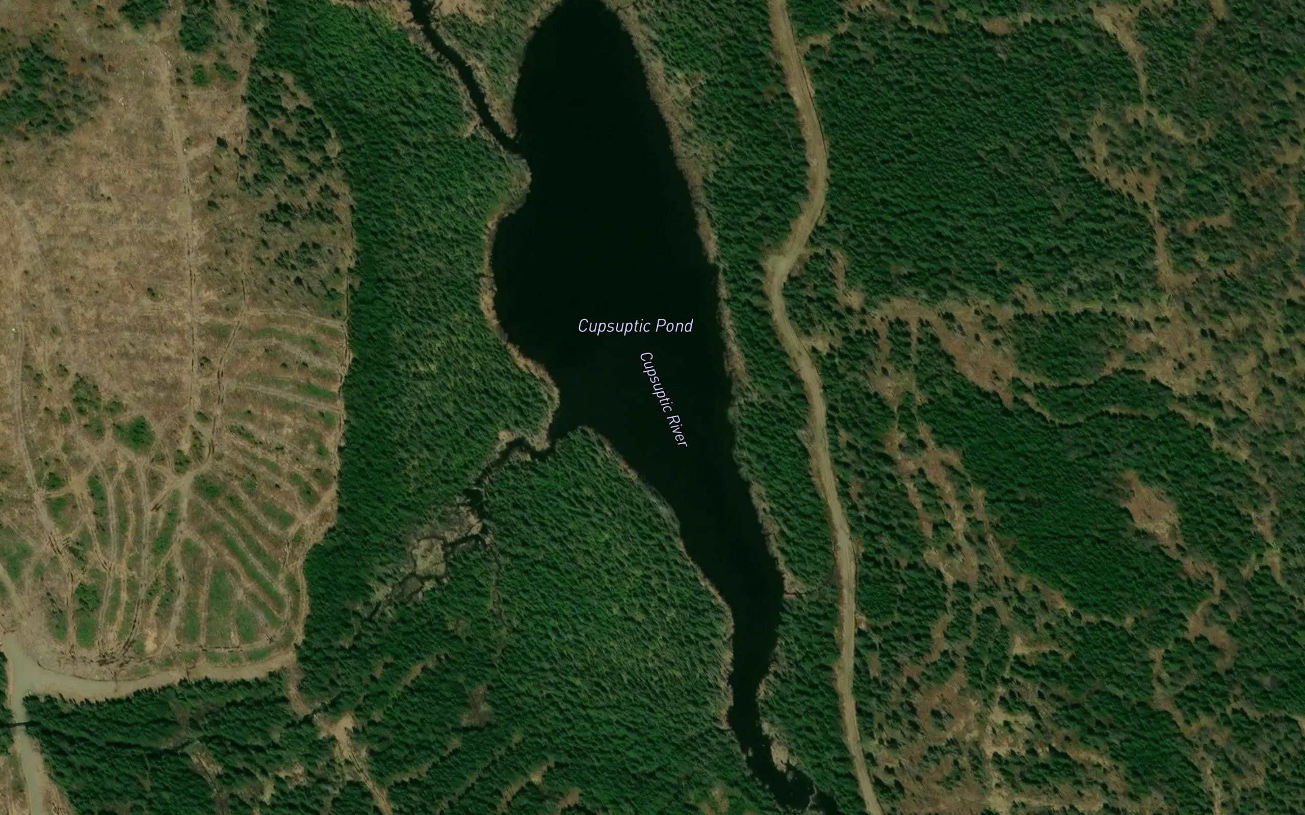 Cupsuptic Pond