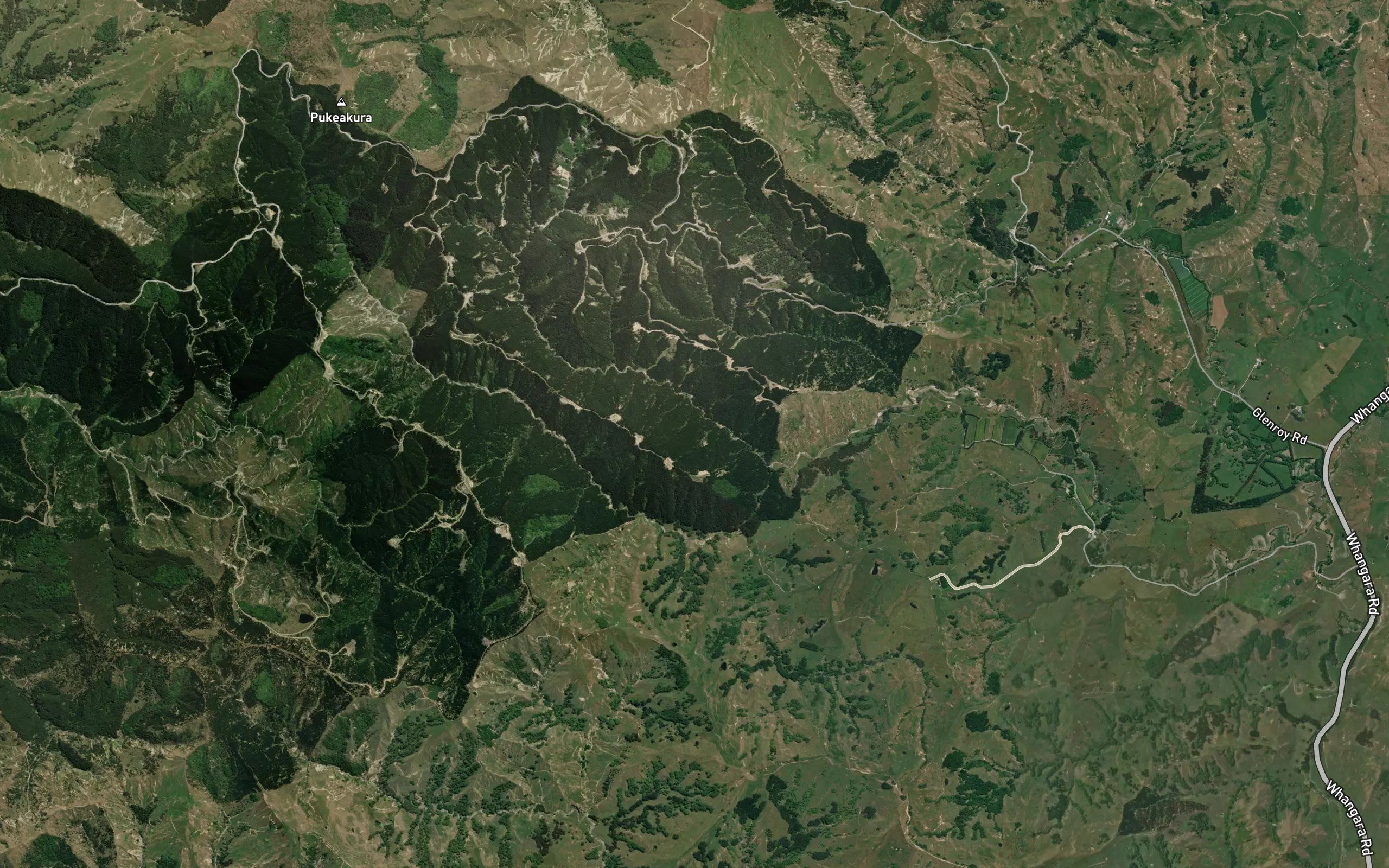 Tarewarewa Stream
