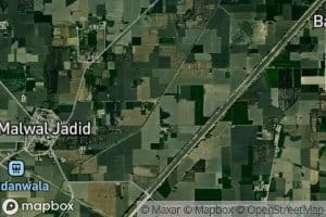 Malwal Jadid