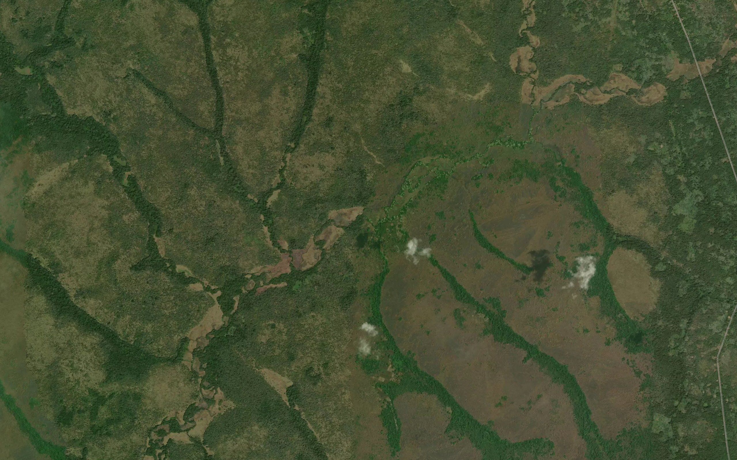 Nakpatapuma