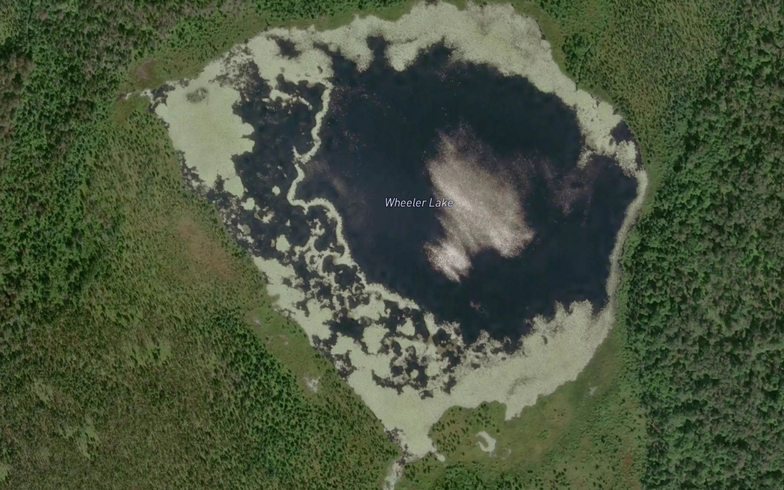 Wheeler Lake
