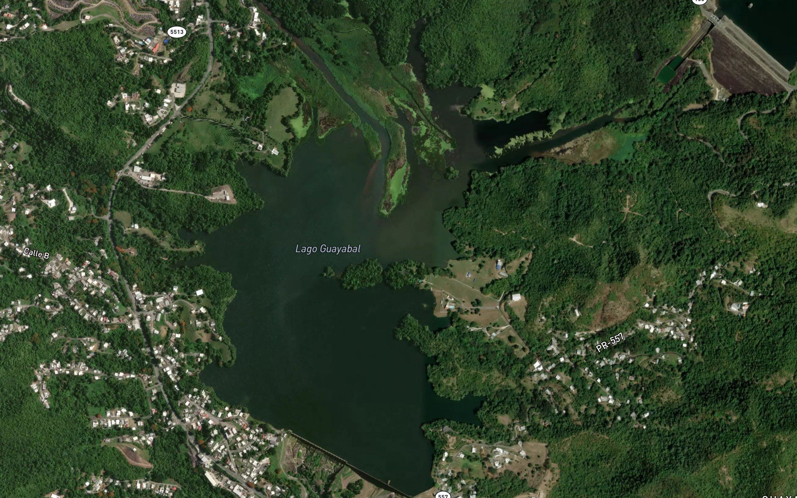 Lago Guayabal