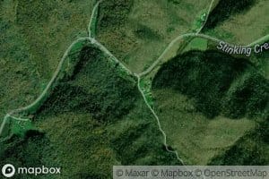 Trace Branch