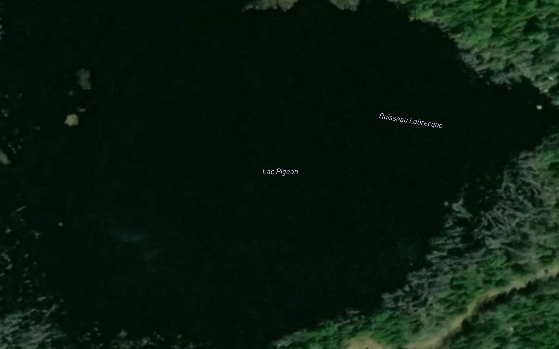 Satellite map of the Lac Pigeon