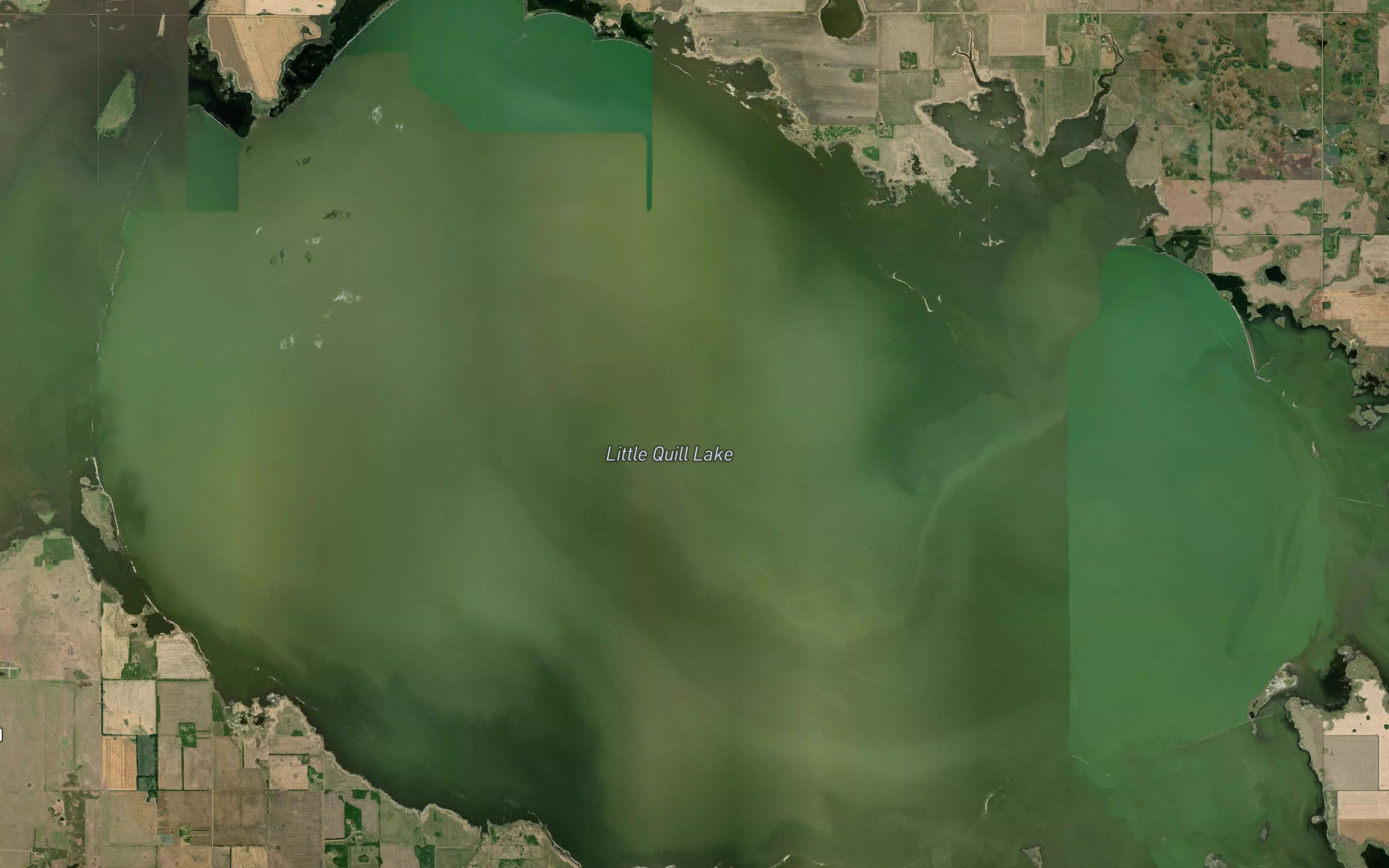 Little Quill Lake