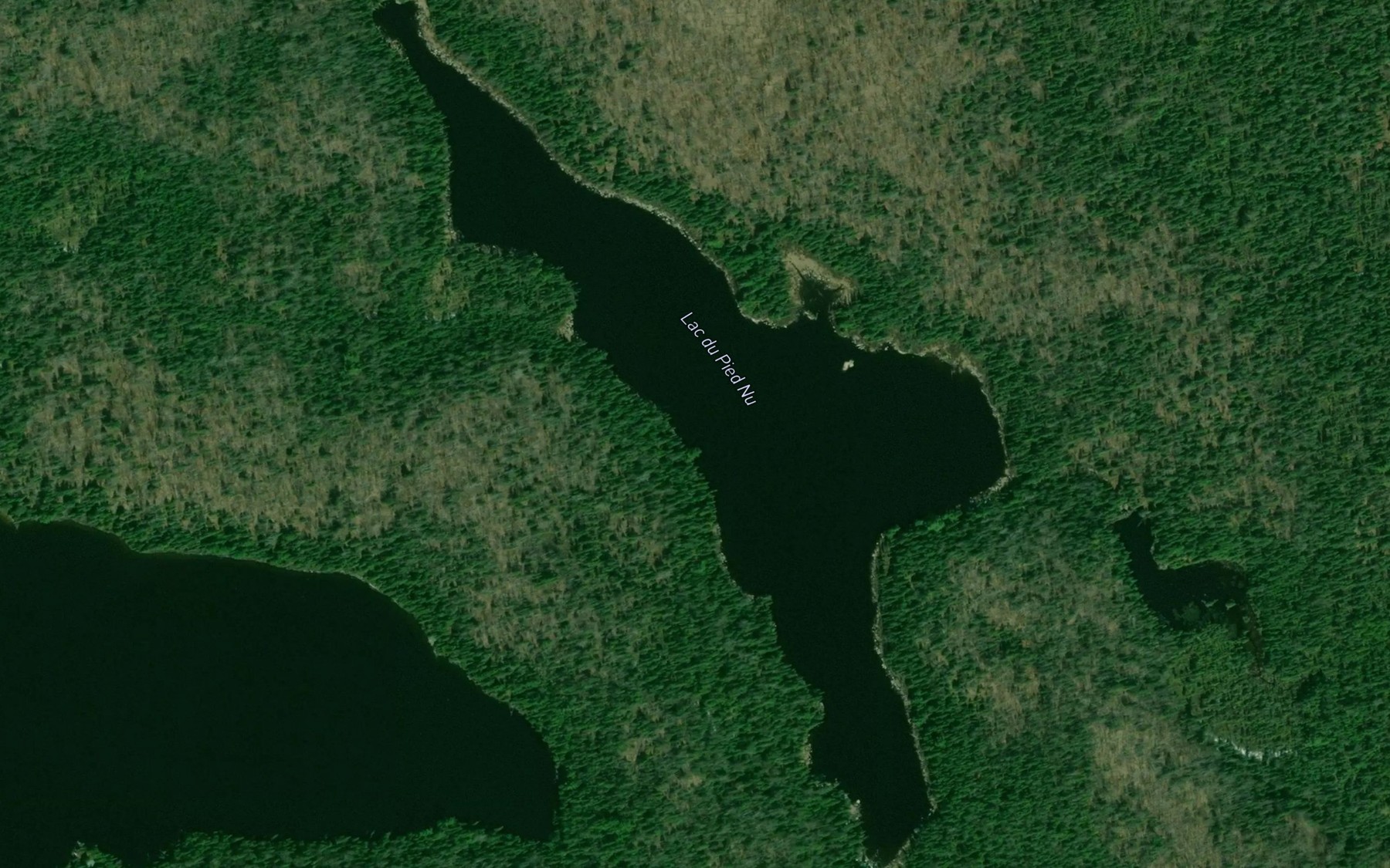 Satellite map of the Lac du Pied Nu