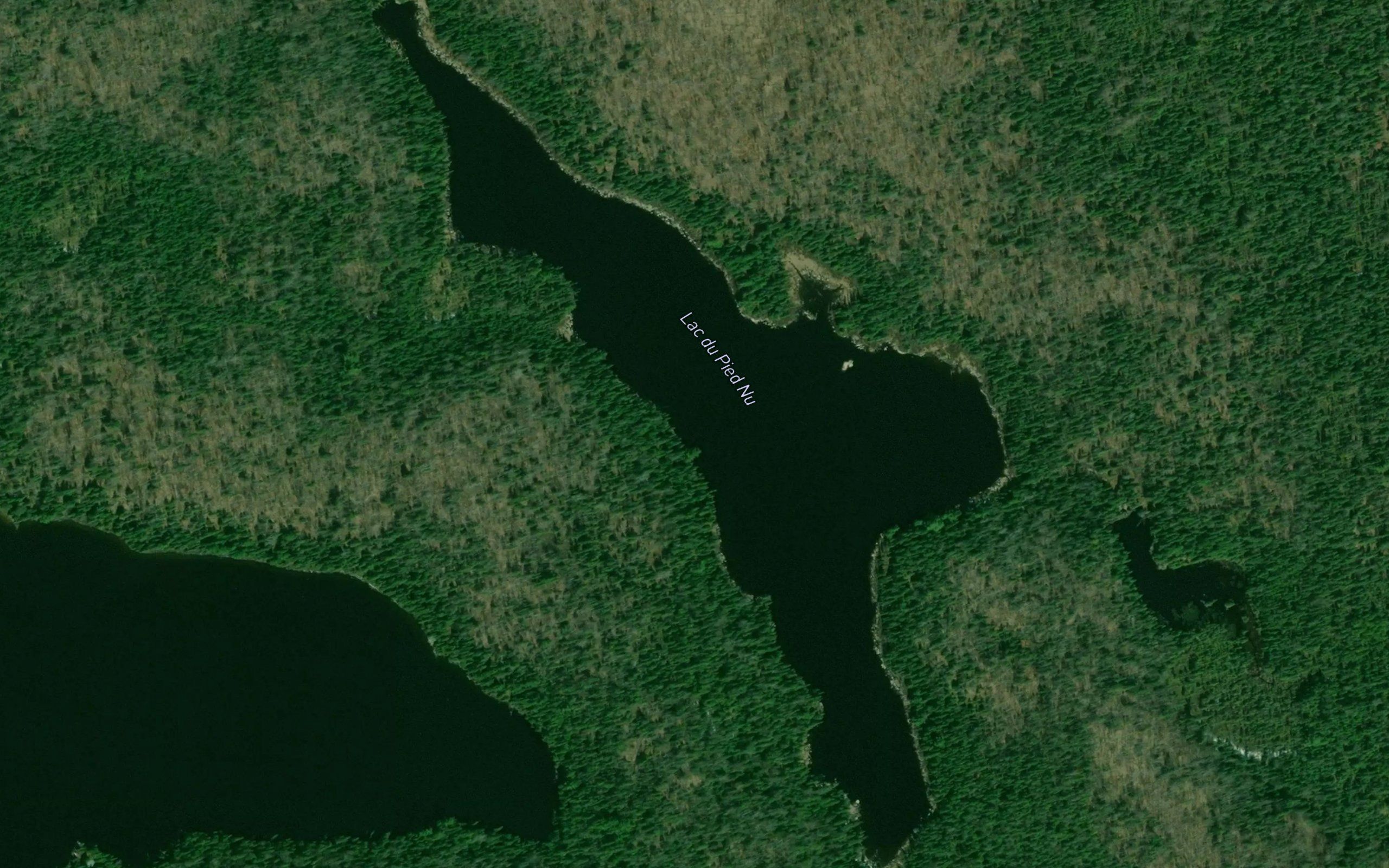 Lac du Pied Nu