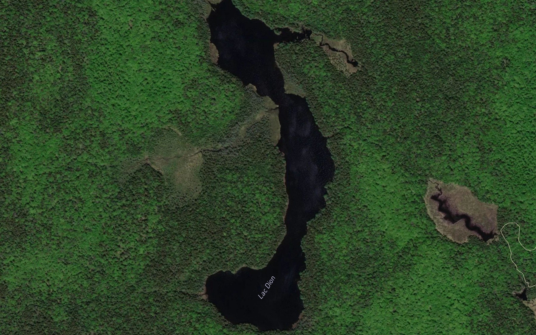 Satellite map of the Lac Dion