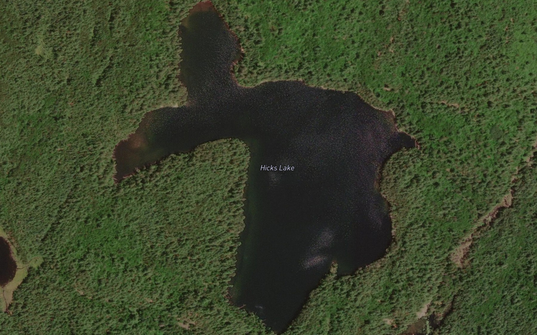 Satellite map of the Hicks Lake
