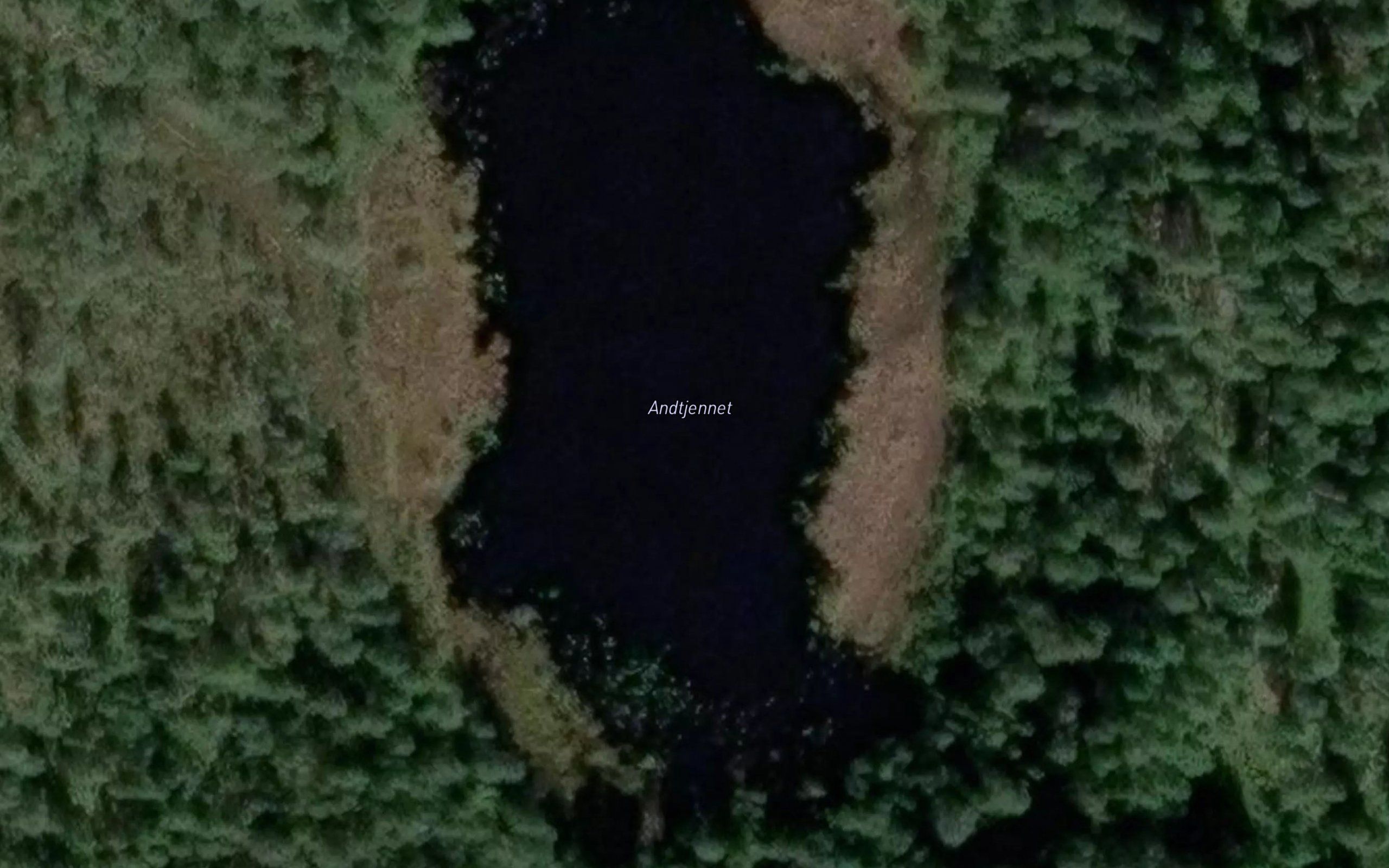 Andtjernet