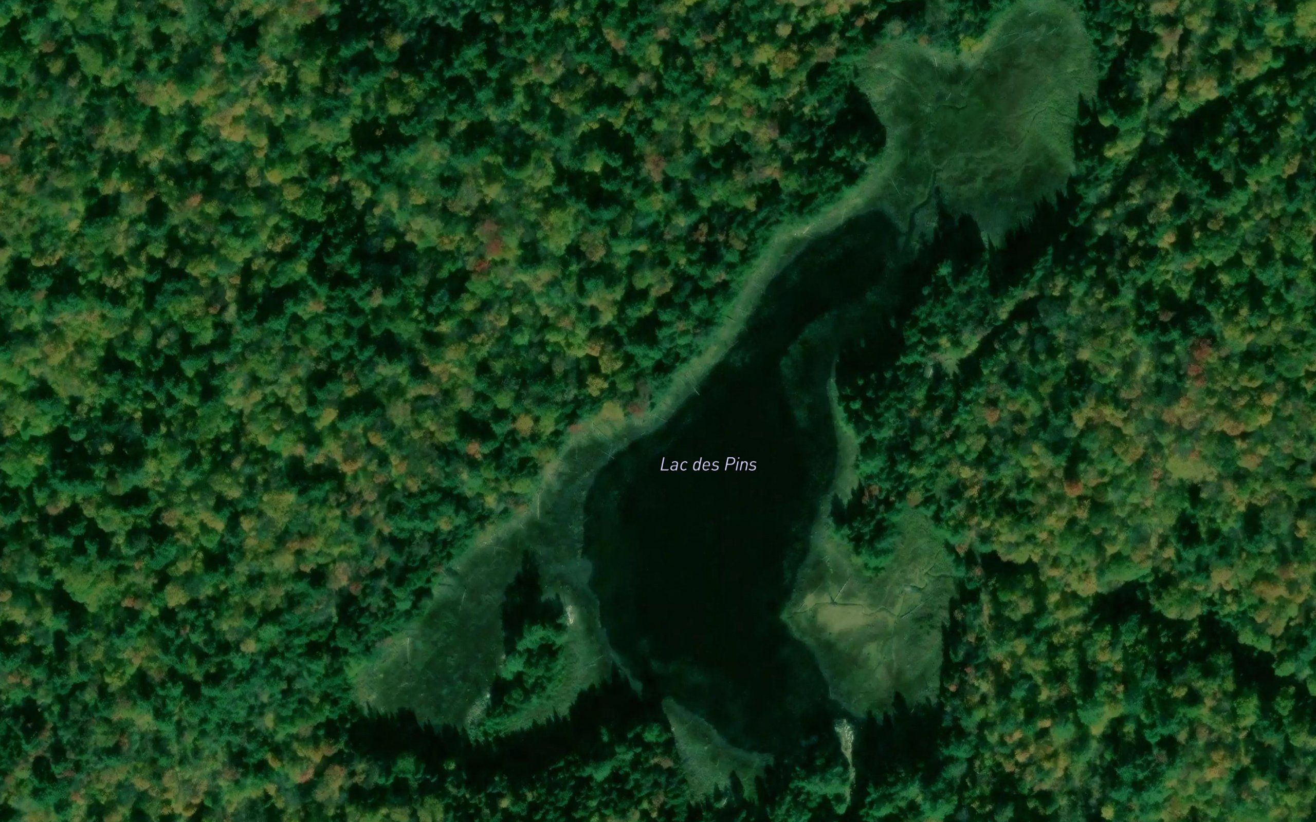 Lac des Pins