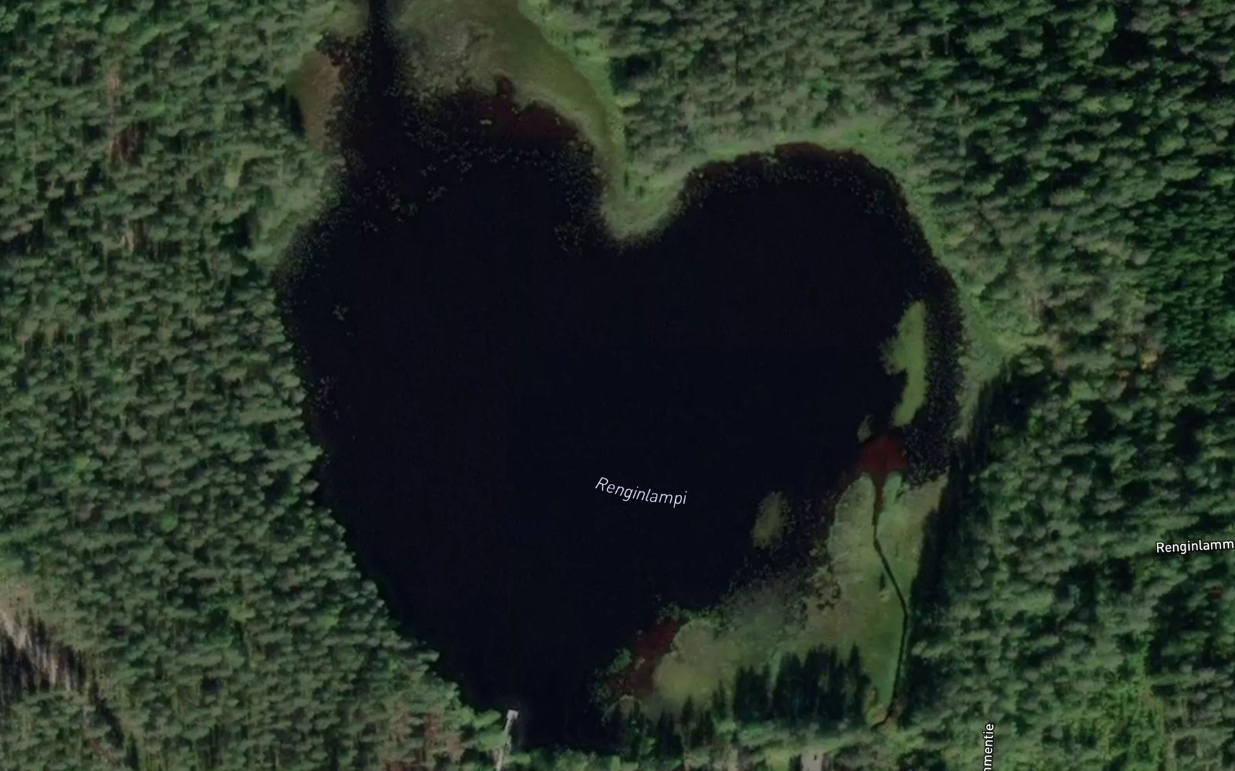 Satellite map of the Renginlampi