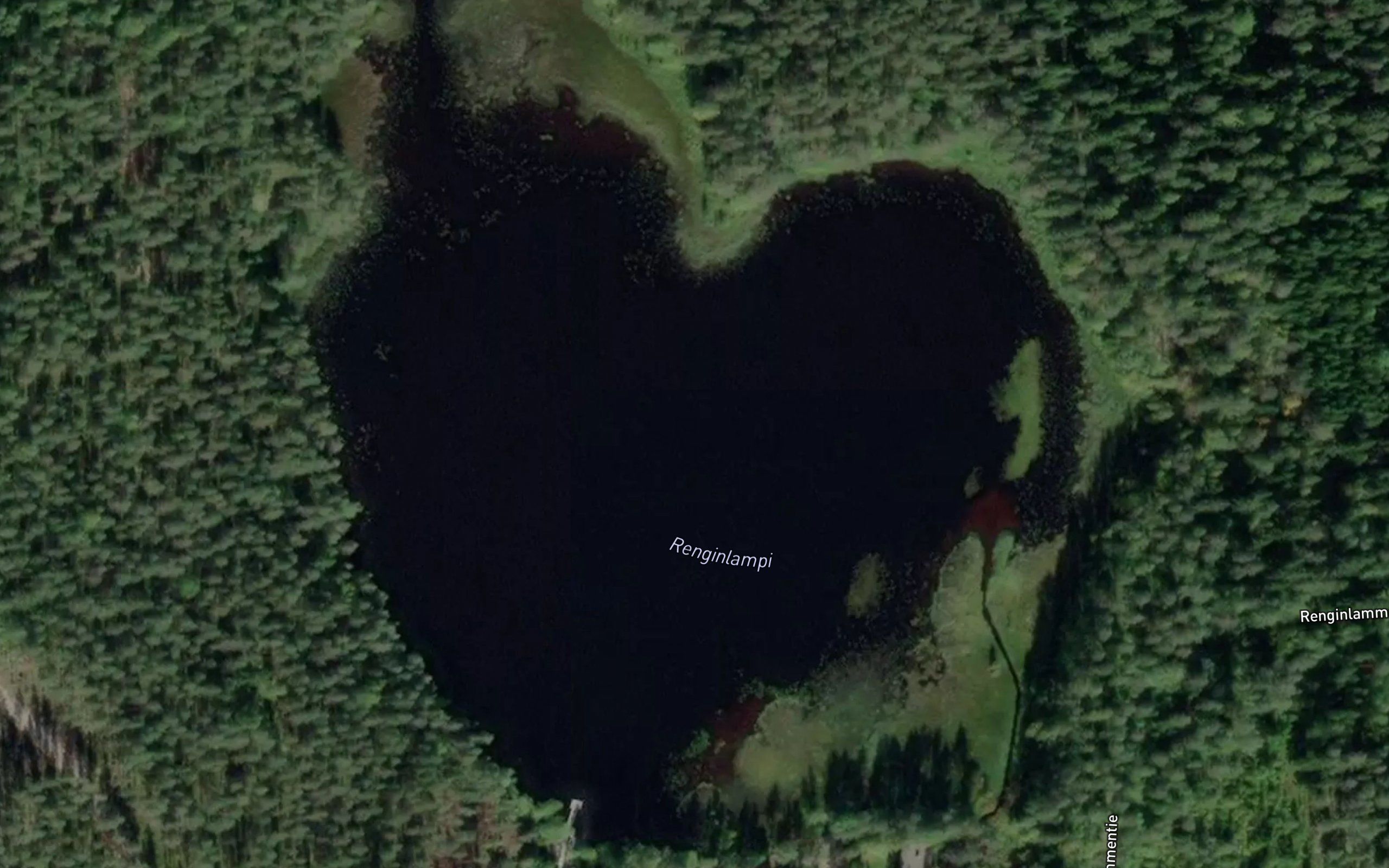 Renginlampi