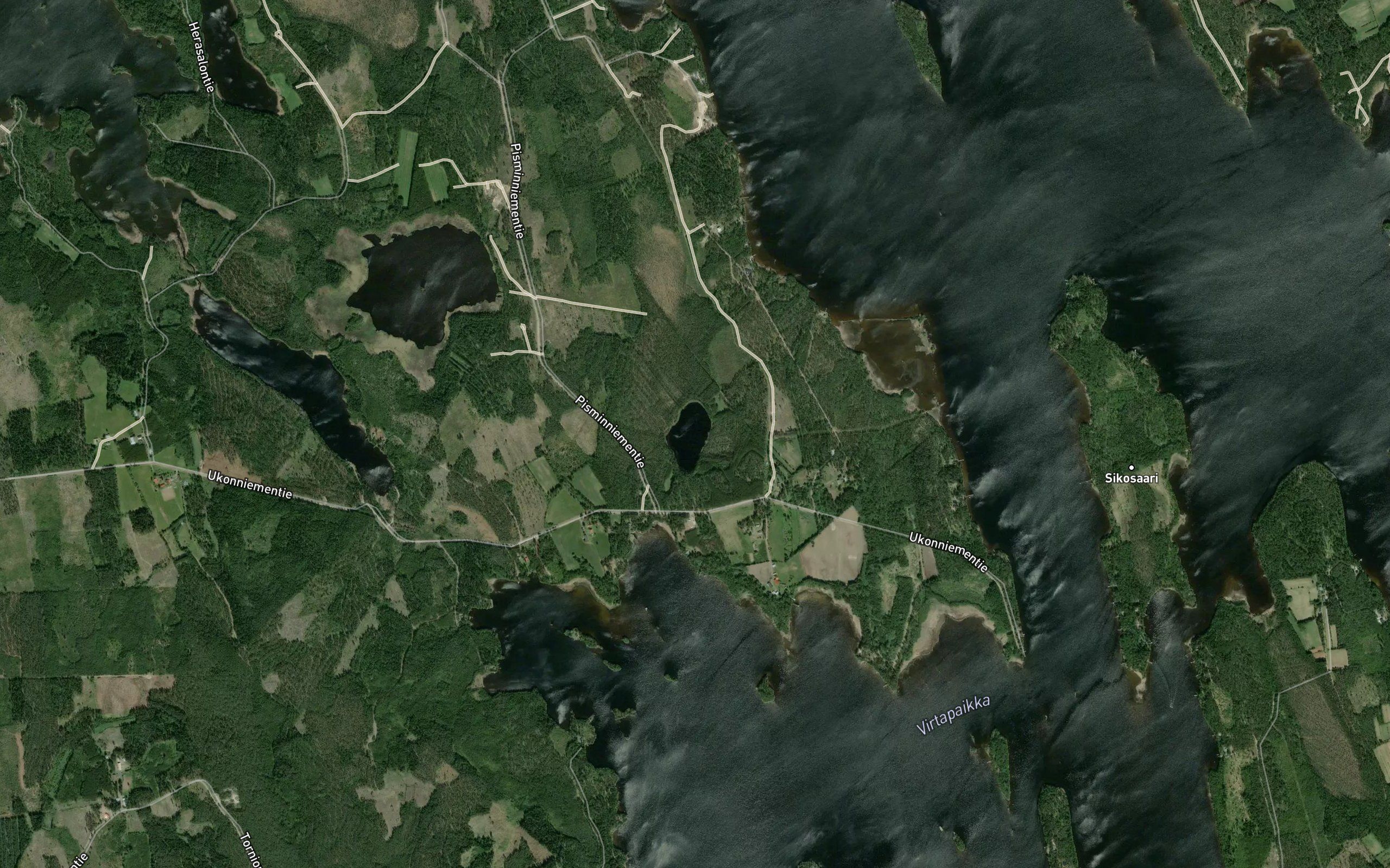 Hallampi