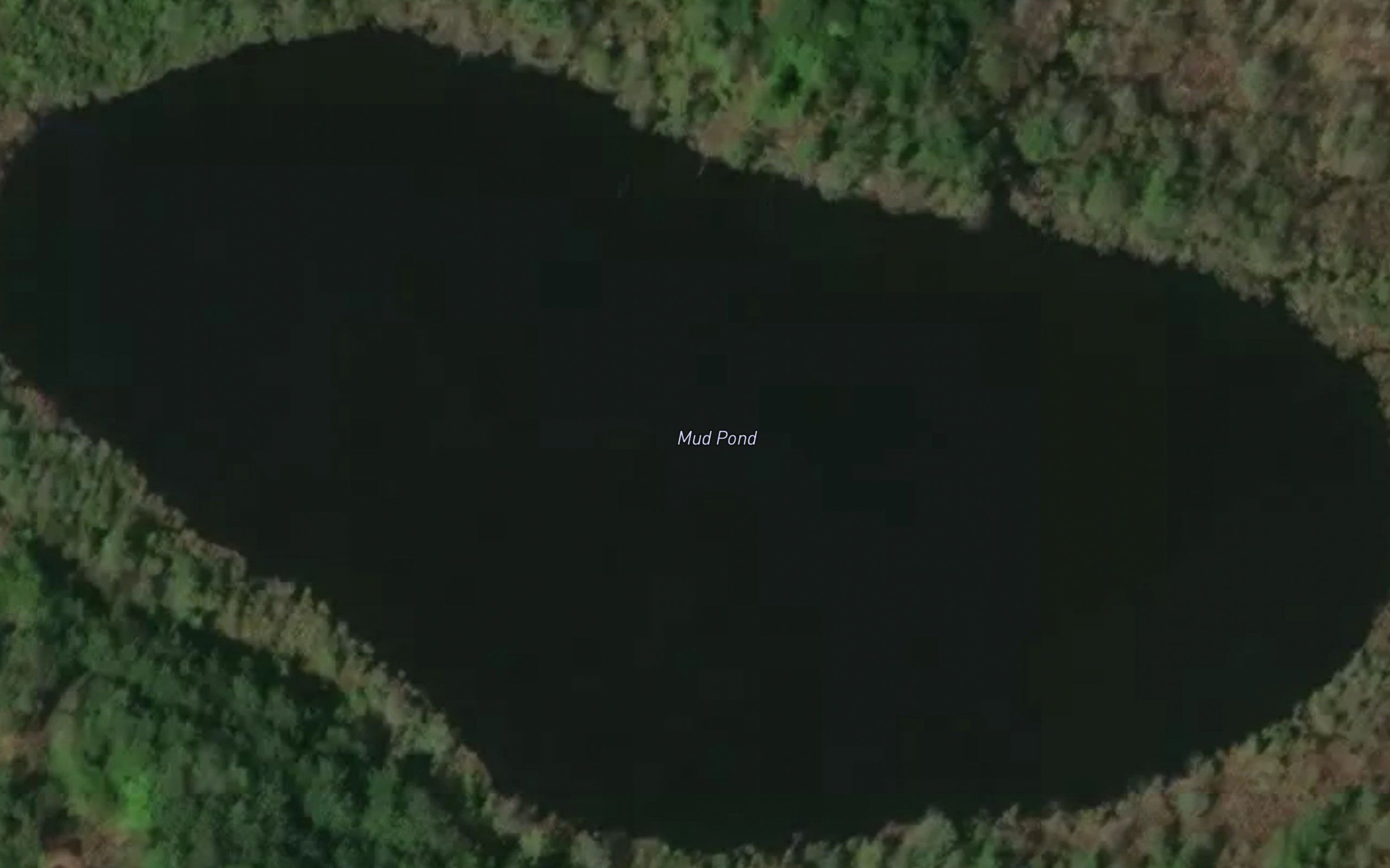 Mud Pond