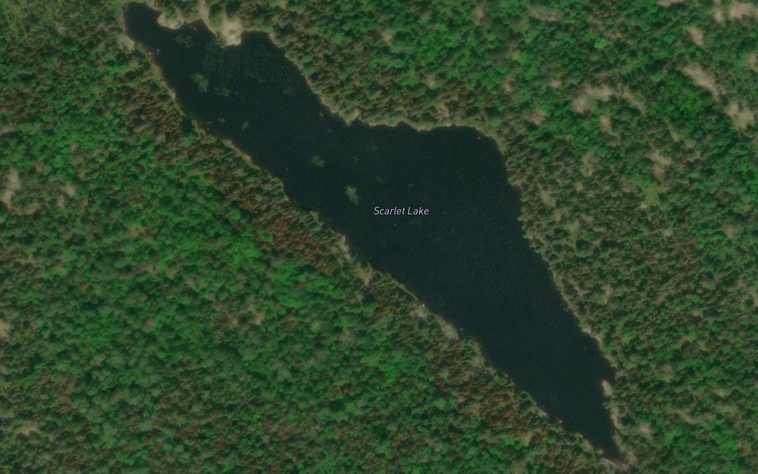 Scarlet Lake
