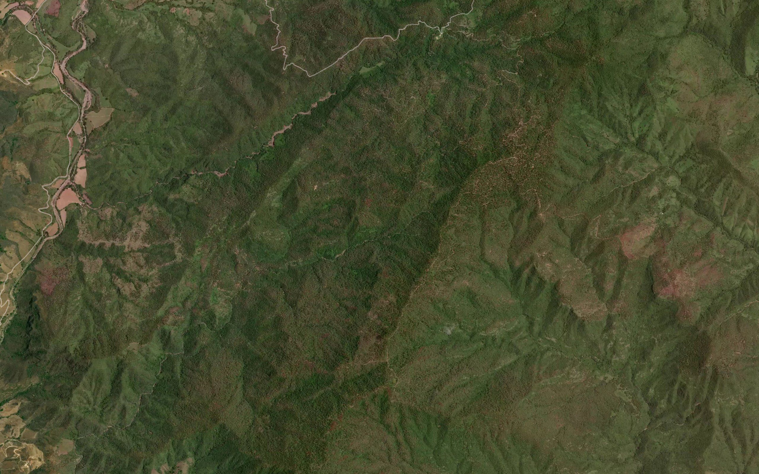 Los Picachos