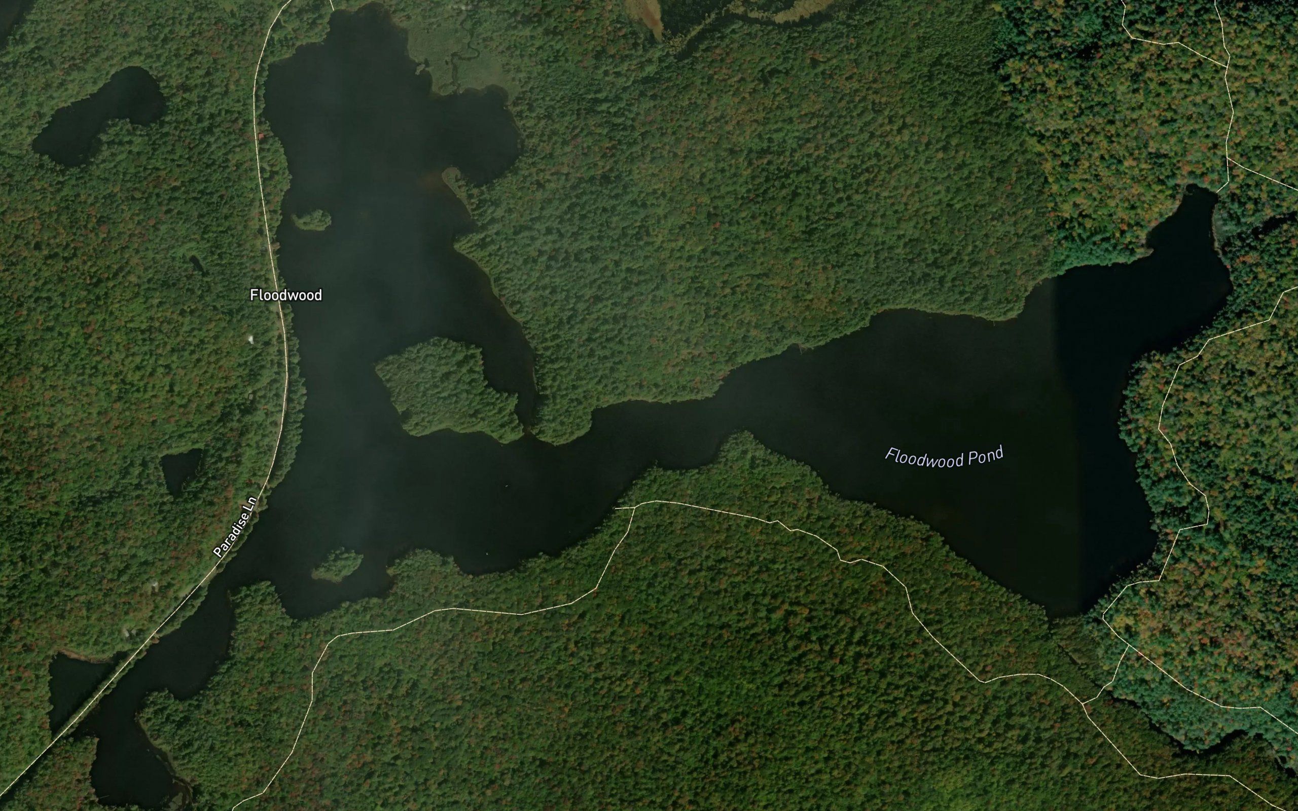 Floodwood Pond