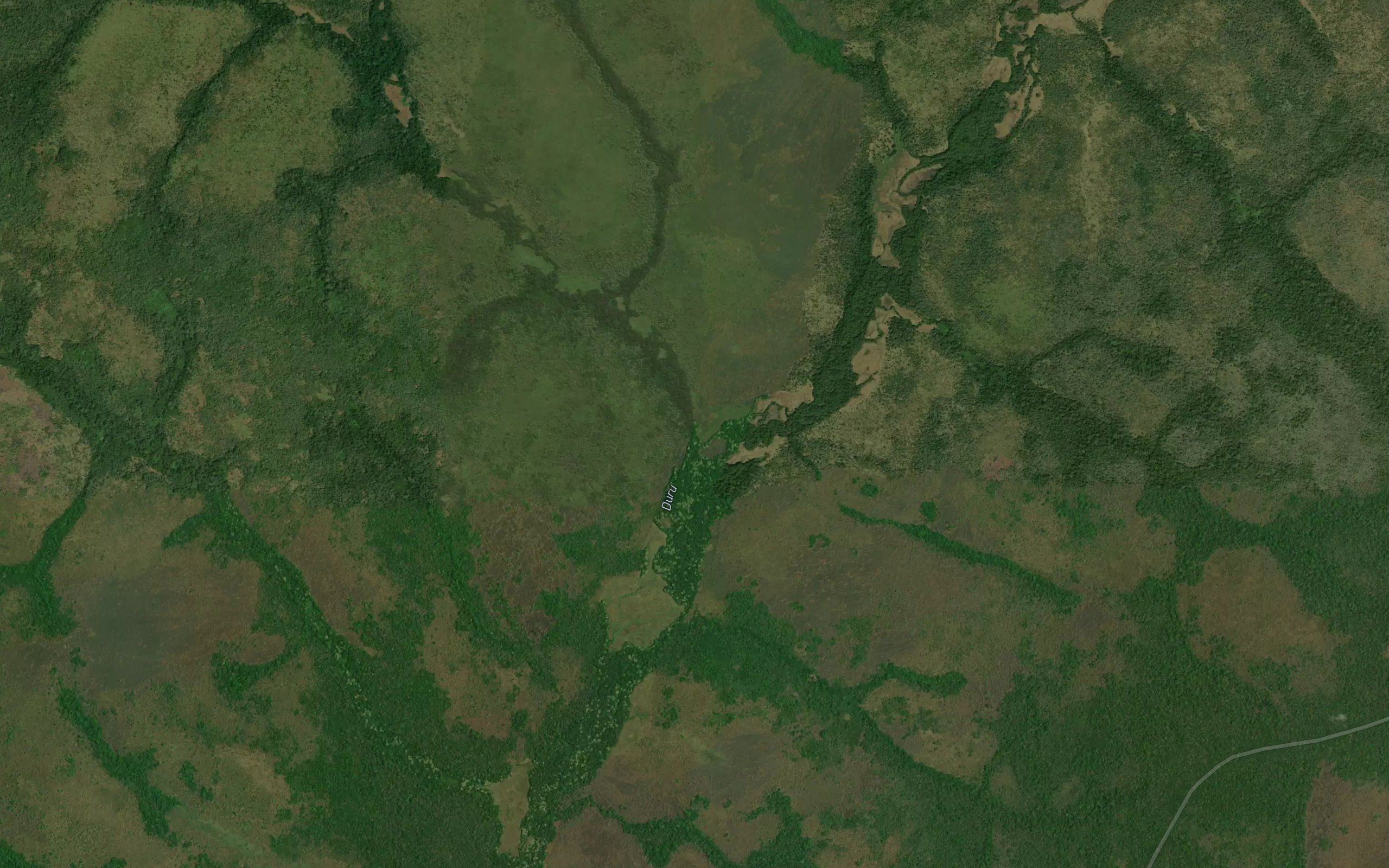 Dingbili