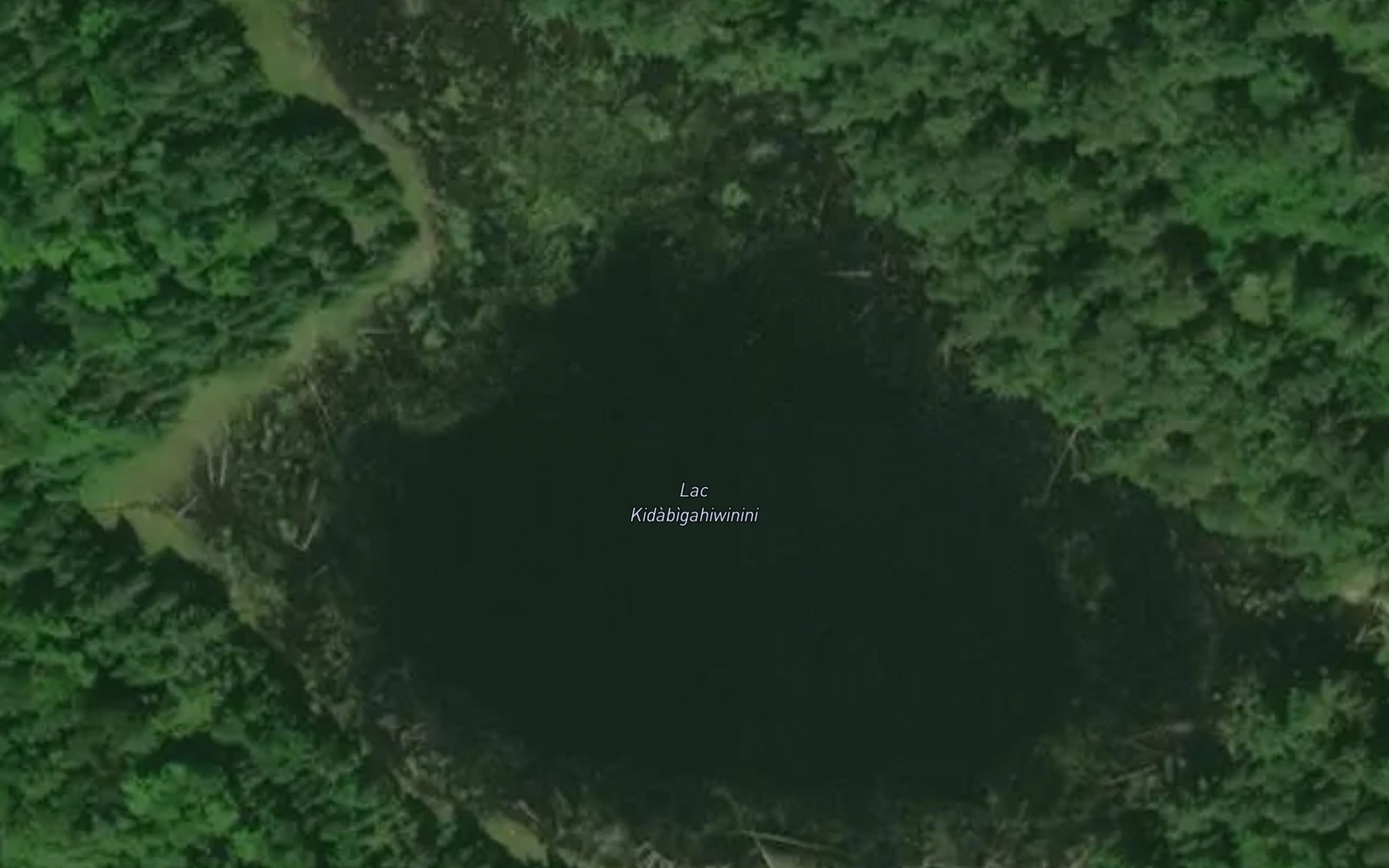 Satellite map of the Lac Kidabigahiwinini