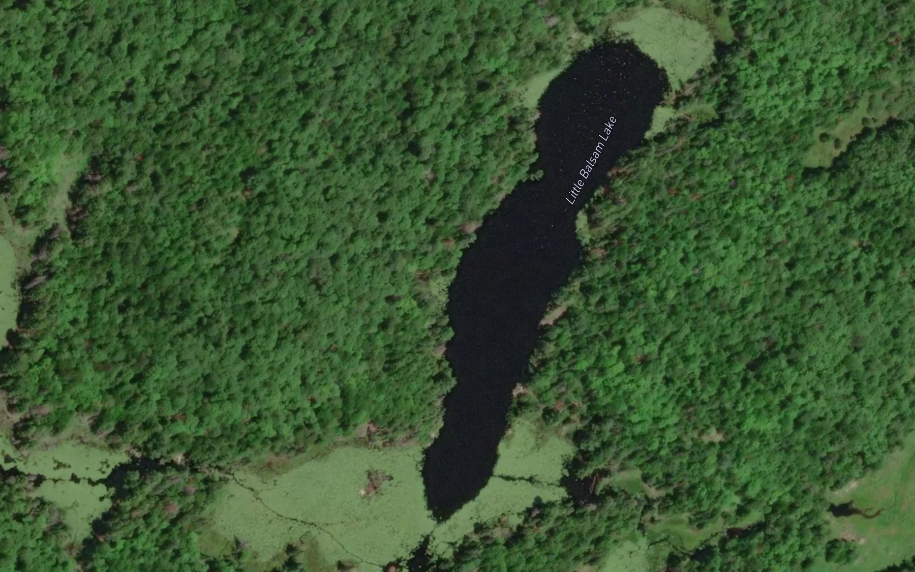 Satellite map of the Little Balsam Lake