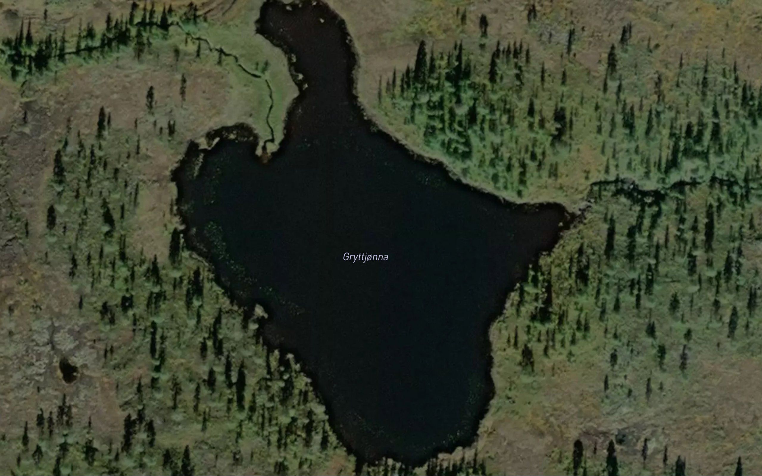 Gryttjorna