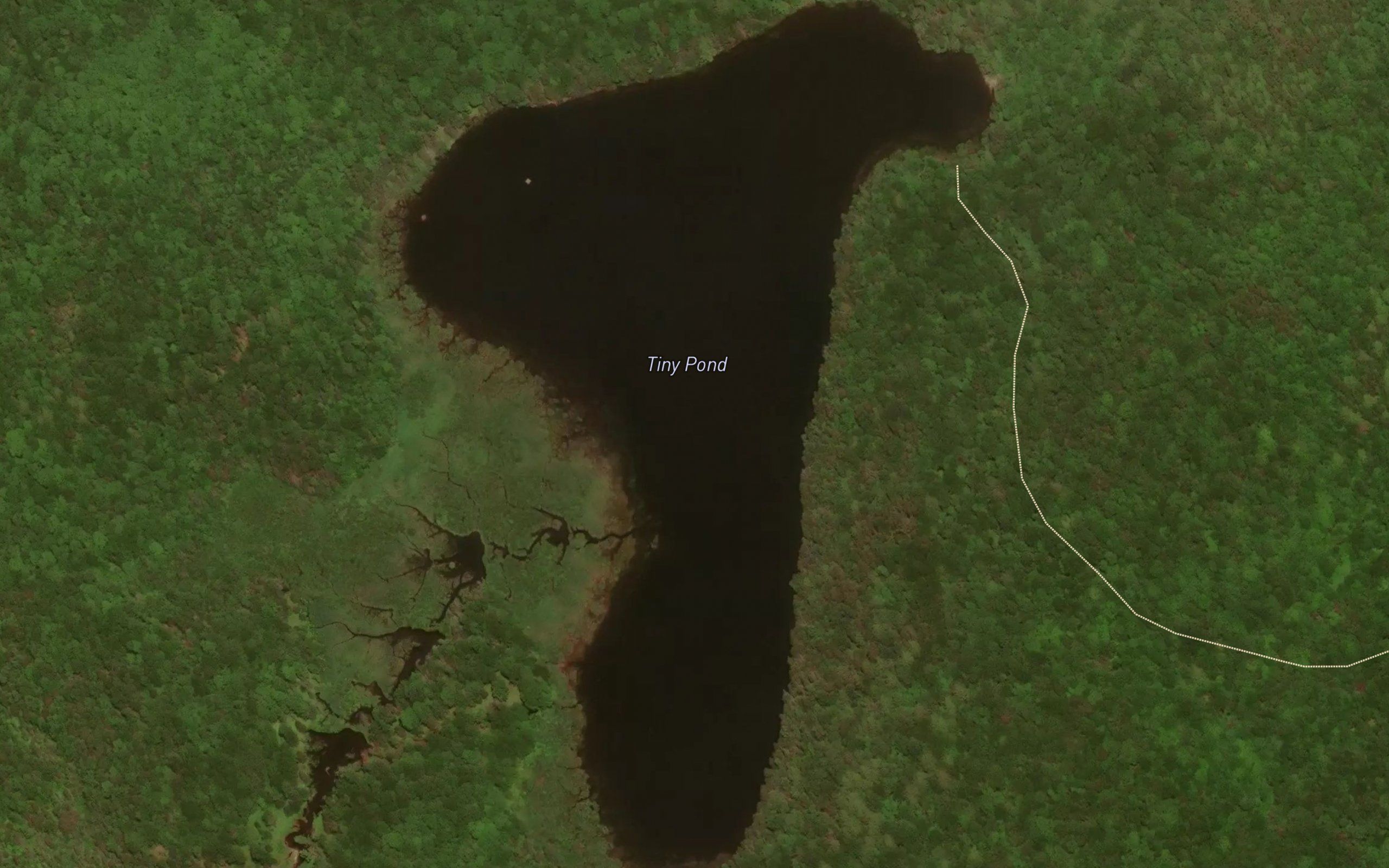 Tiny Pond
