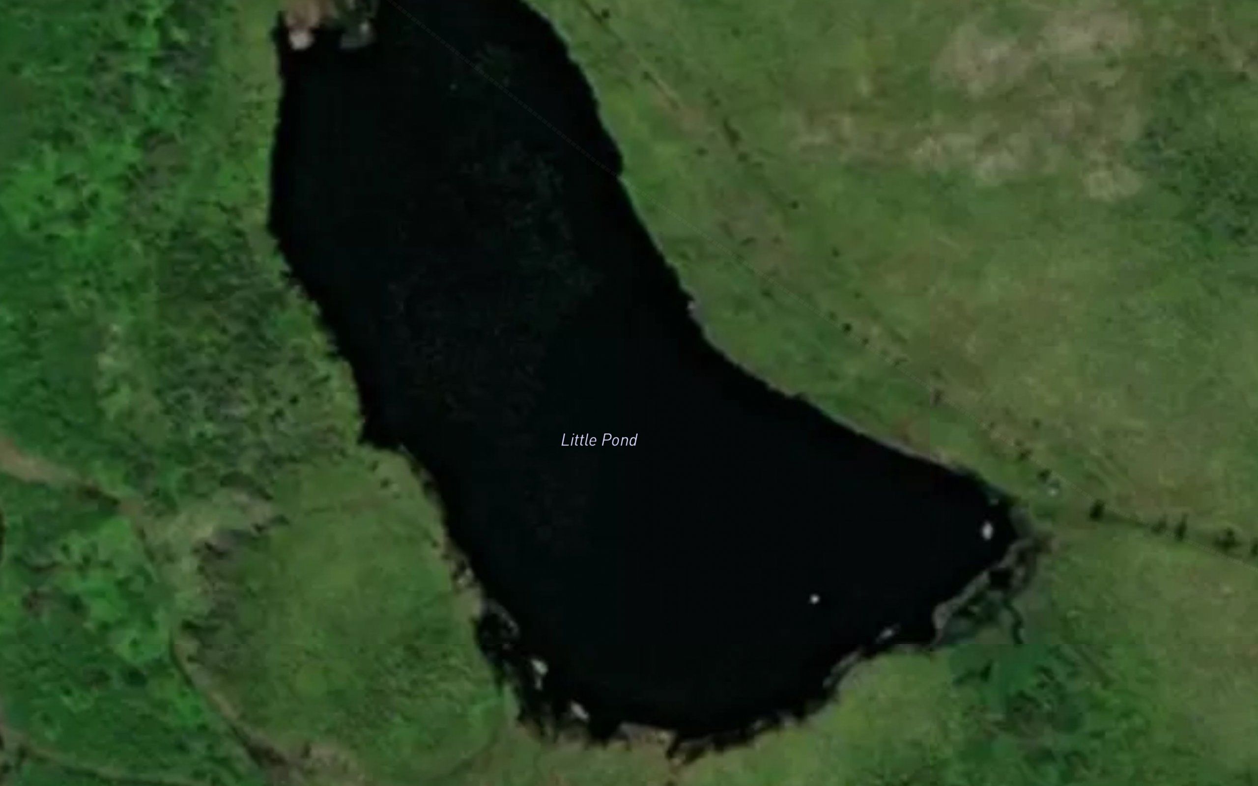 Little Pond