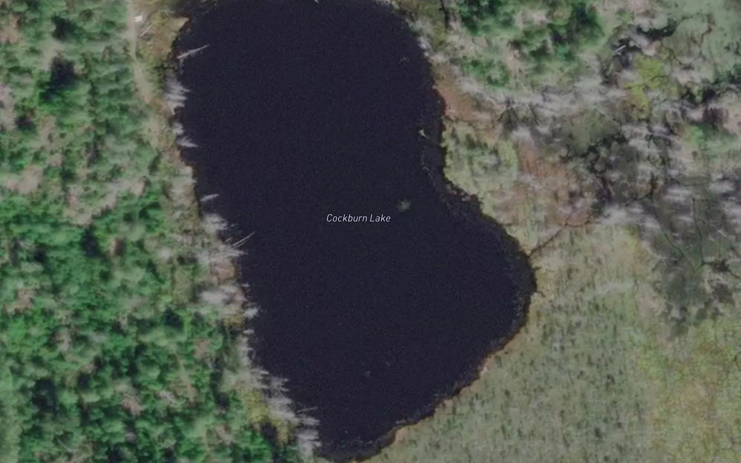 Cockburn Lake