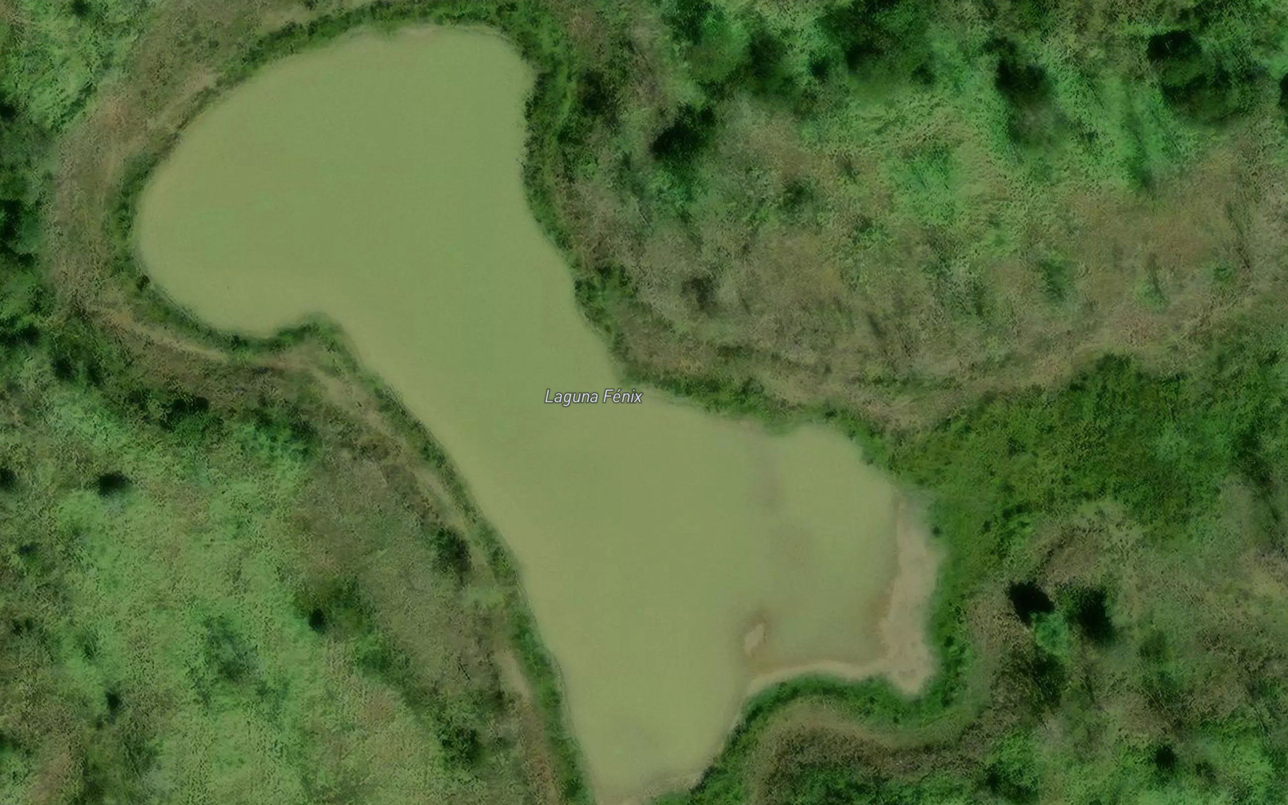 Laguna del Coco