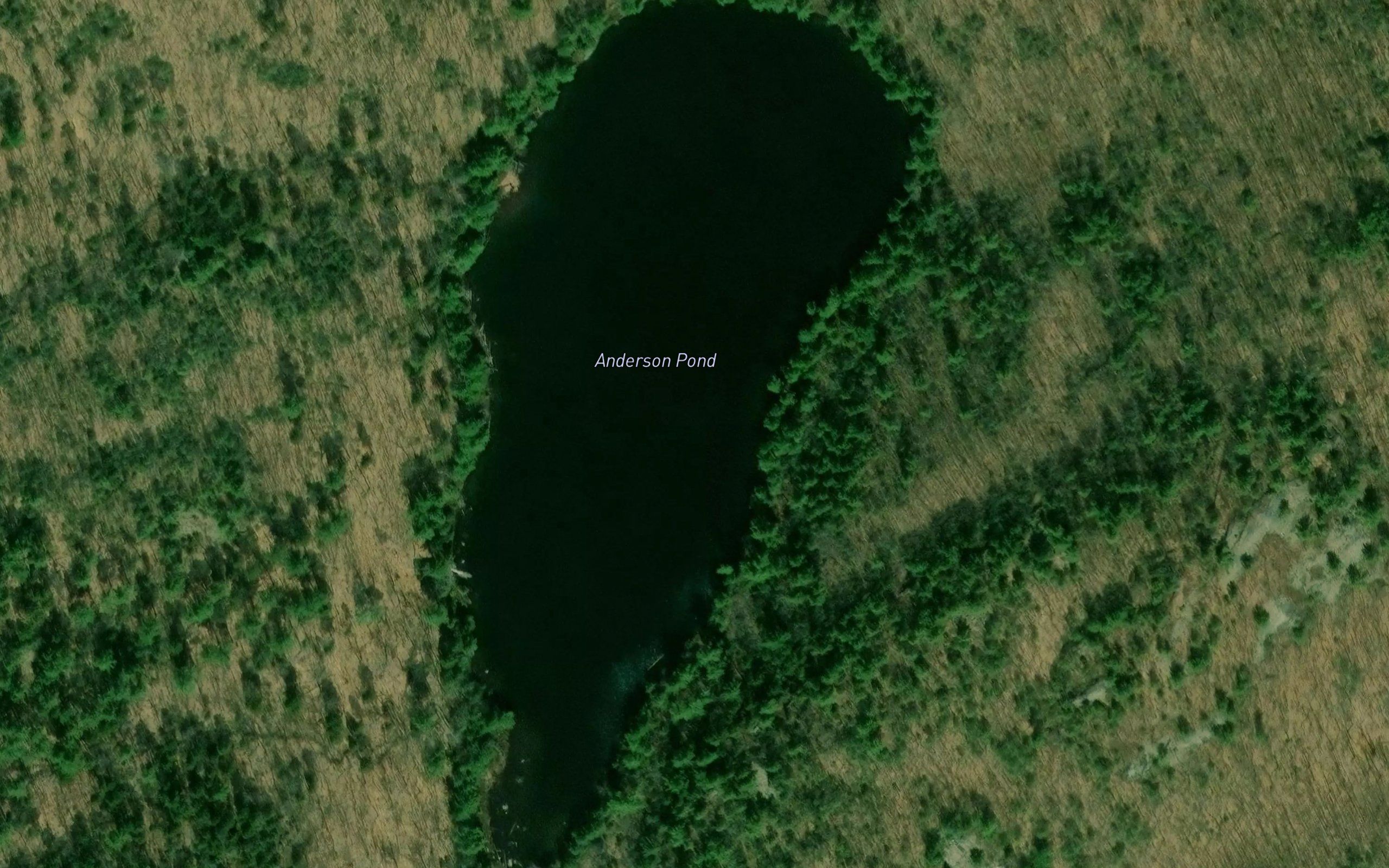 Anderson Pond