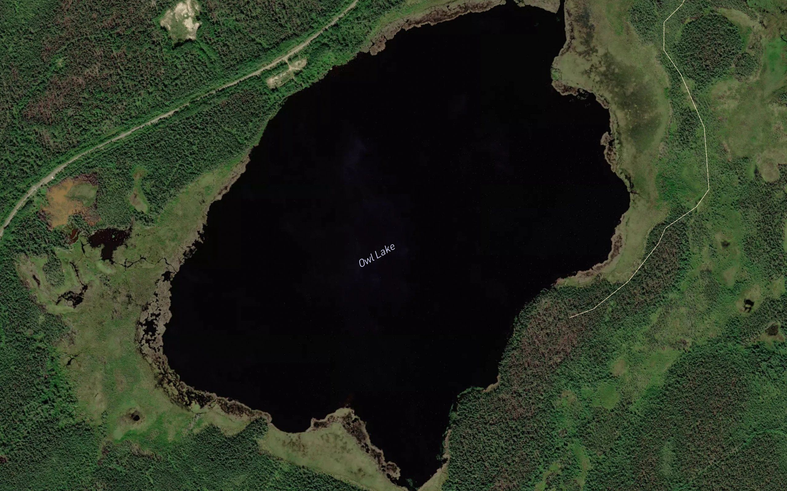 Owl Lake