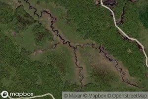 South Branch Mad River