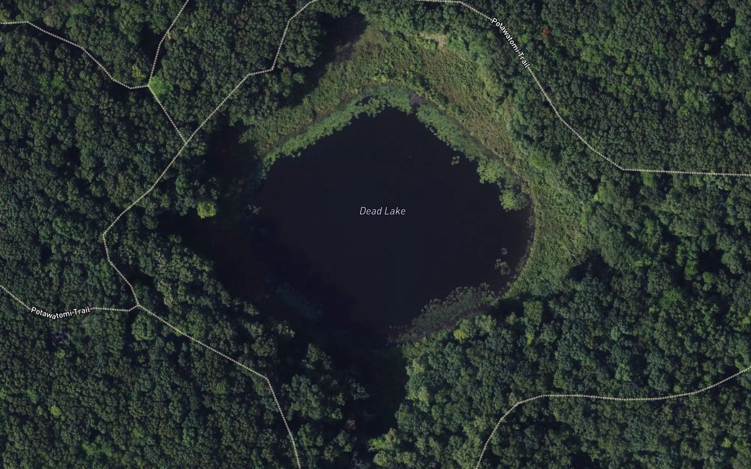 Dead Lake