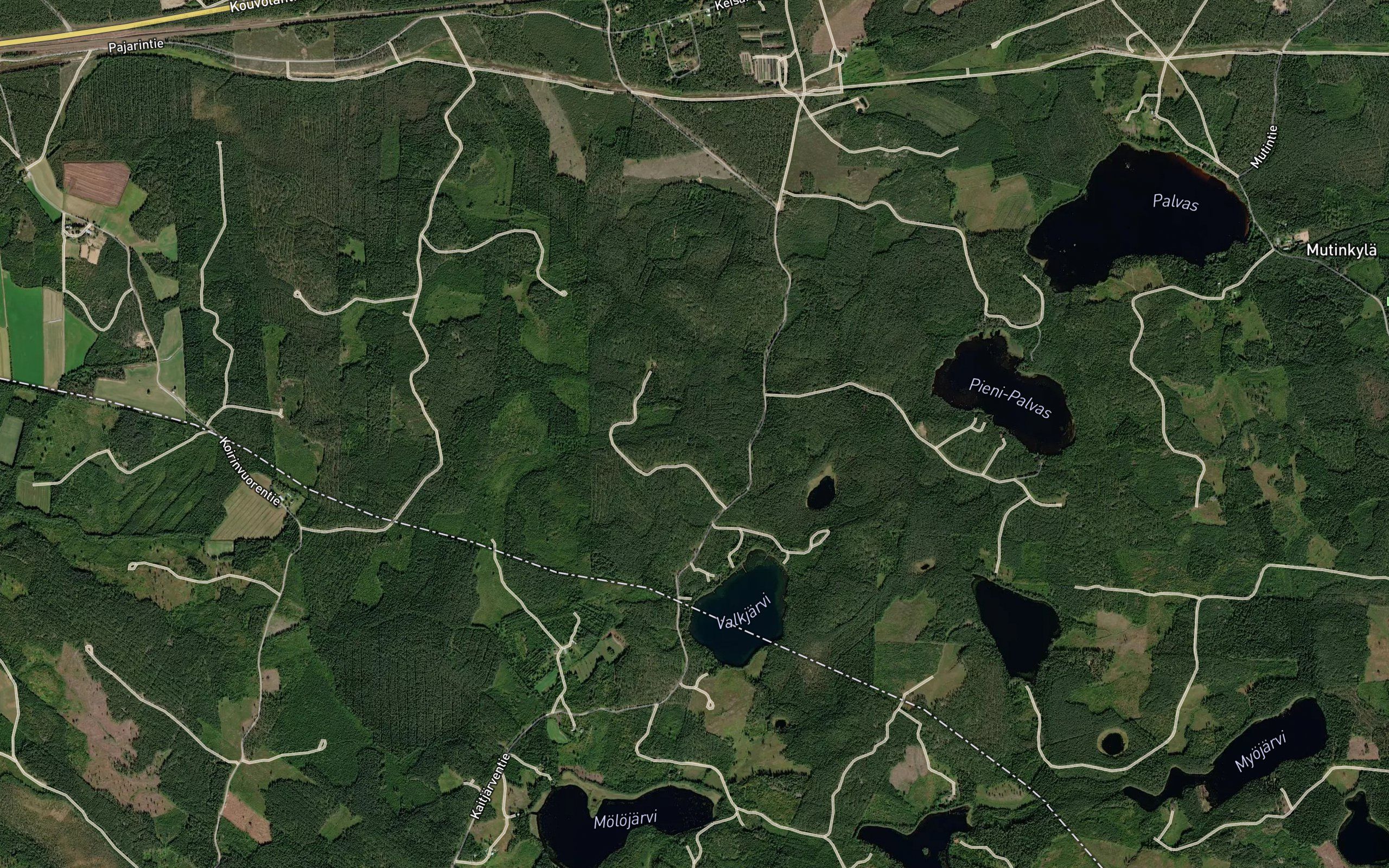 Polkkysillanoja