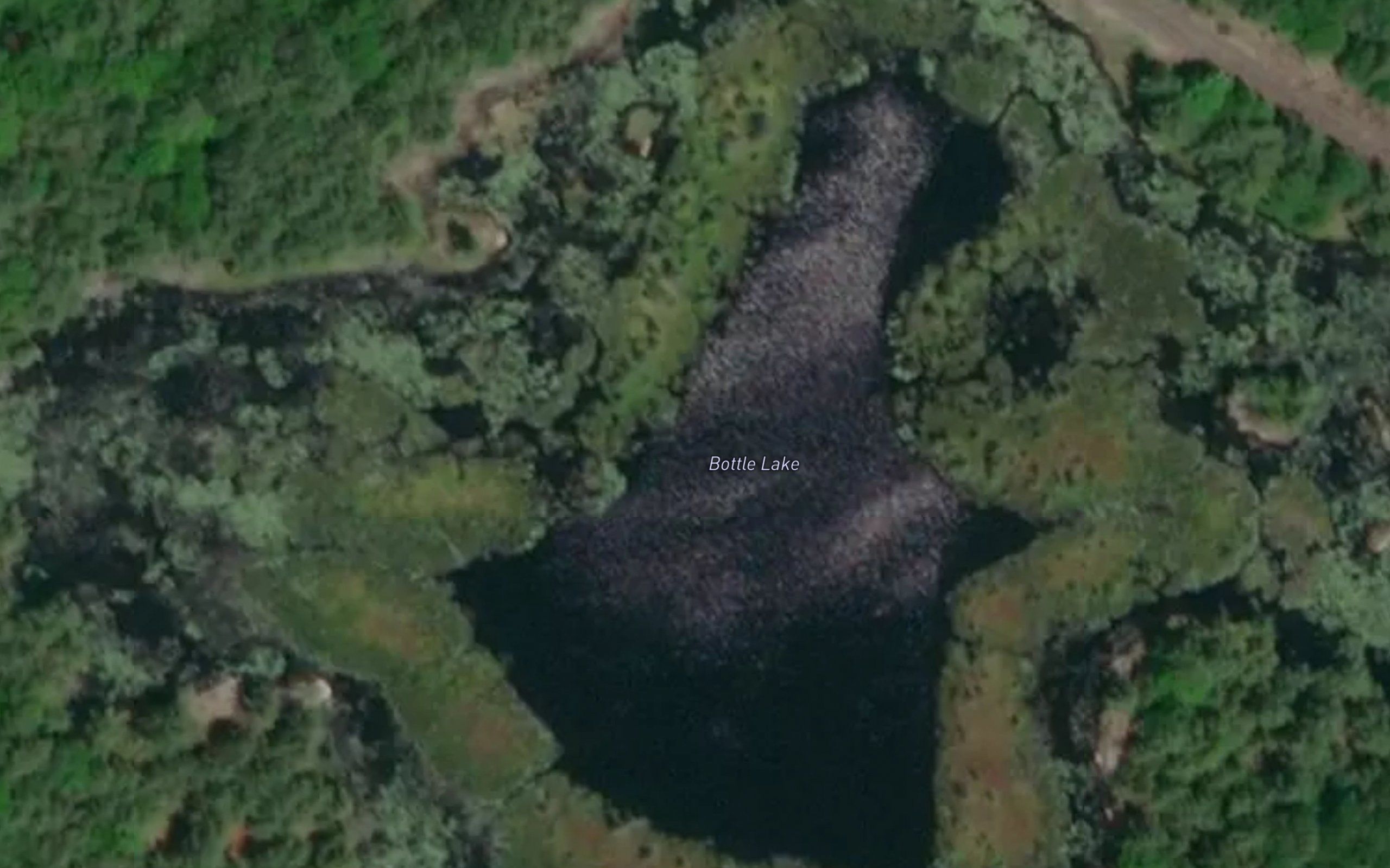 Bottle Lake