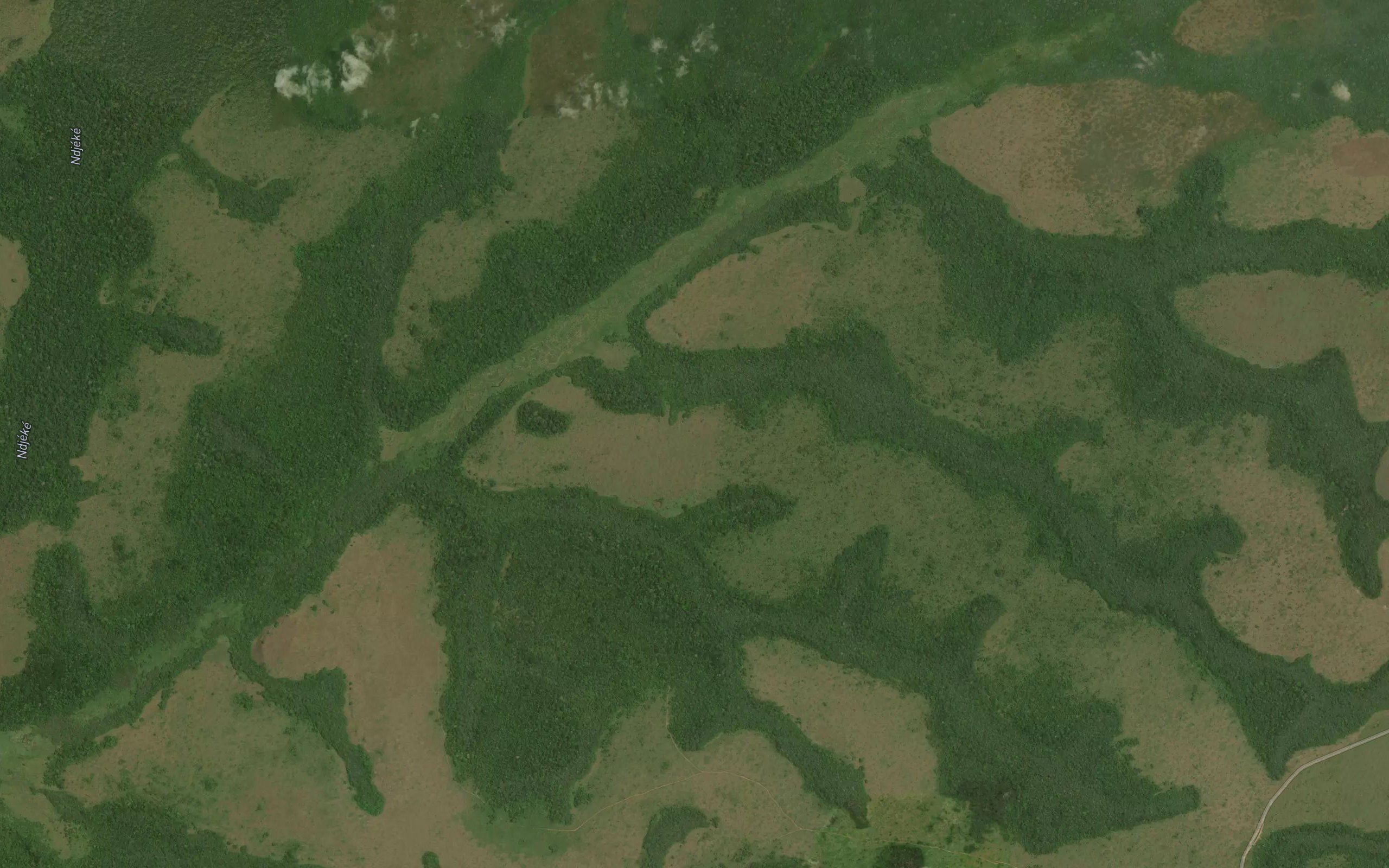 Ngopek