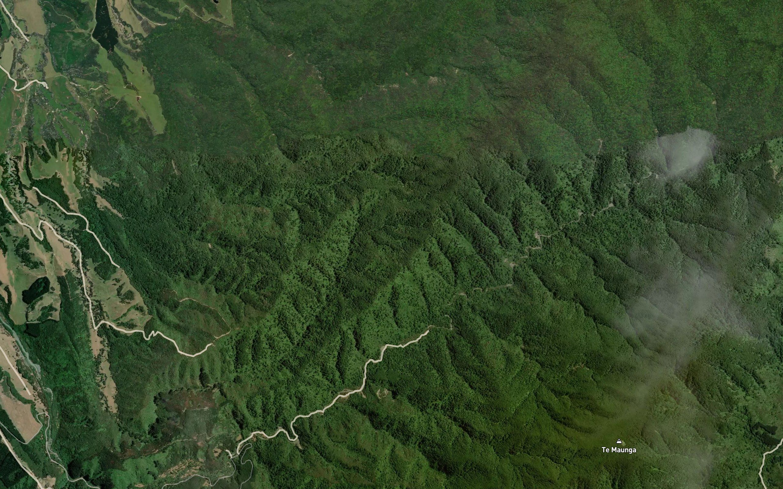 Tauanui River