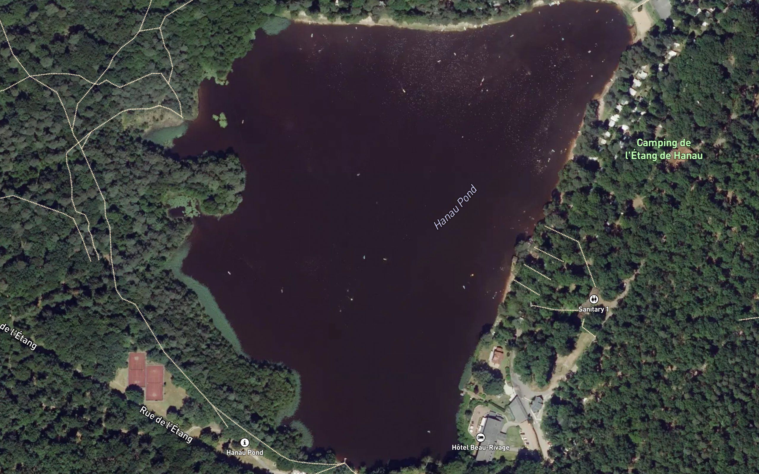 Etang de Hanau