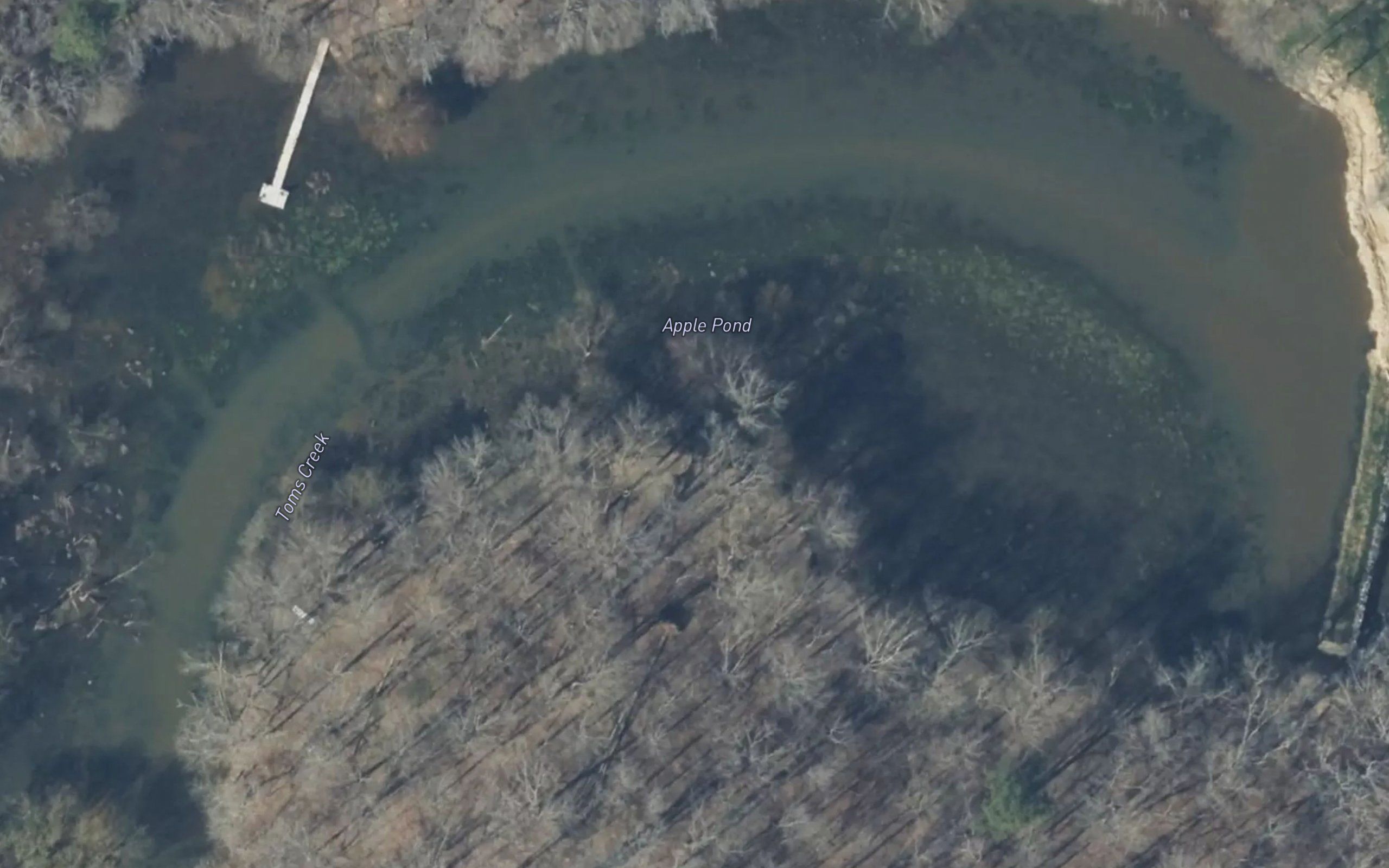 Apple Pond