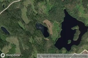 Tuomilampi