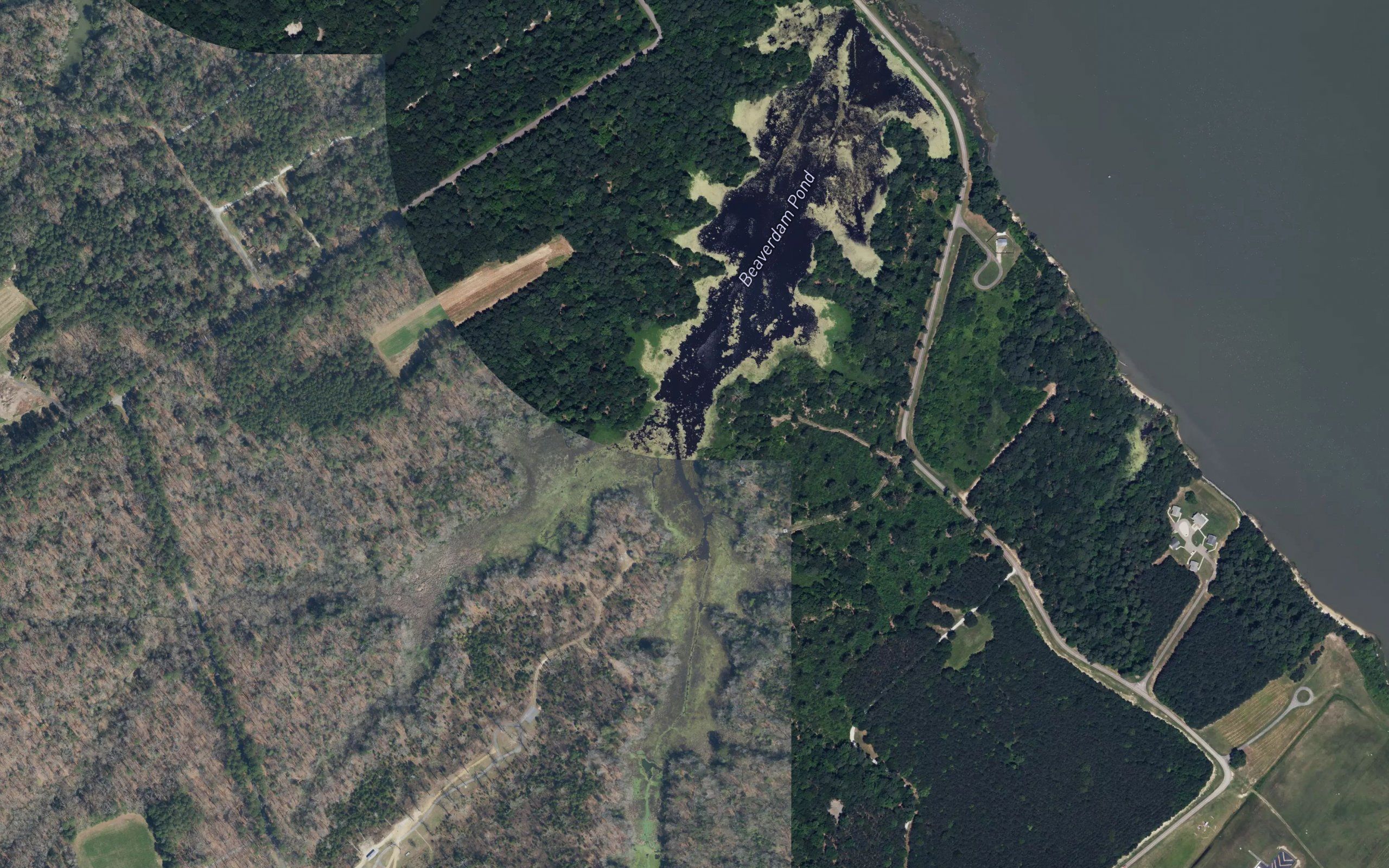 Beaverdam Pond