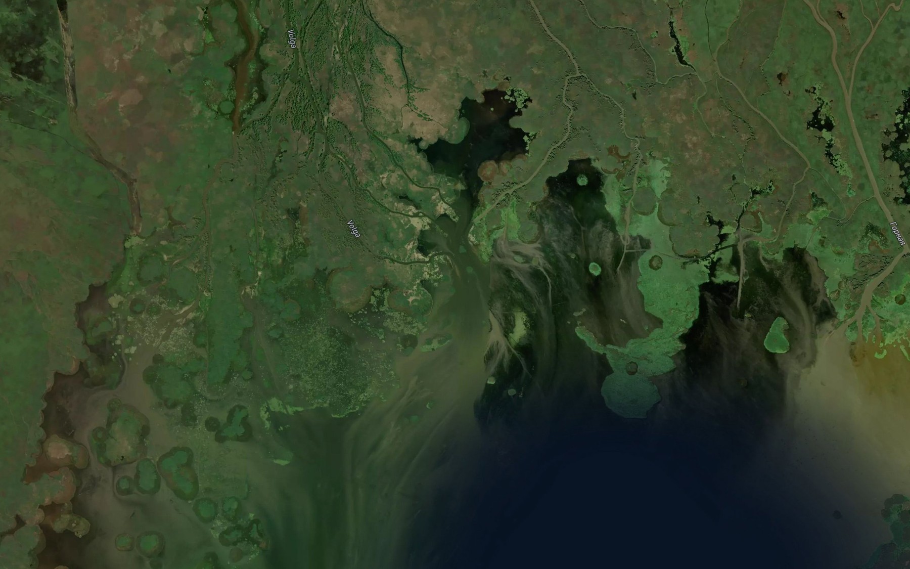 Satellite map of the Bystraya Borozdina