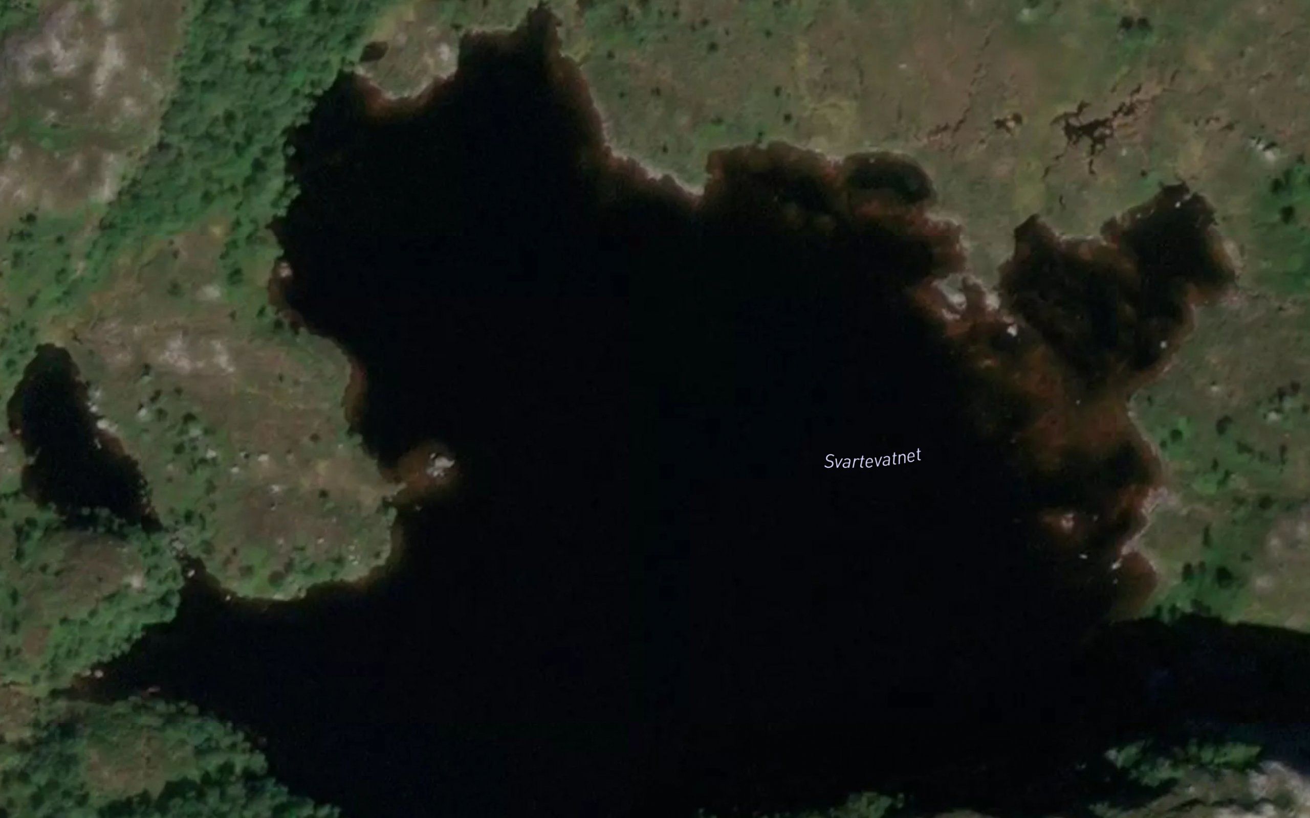 Svartevatnet