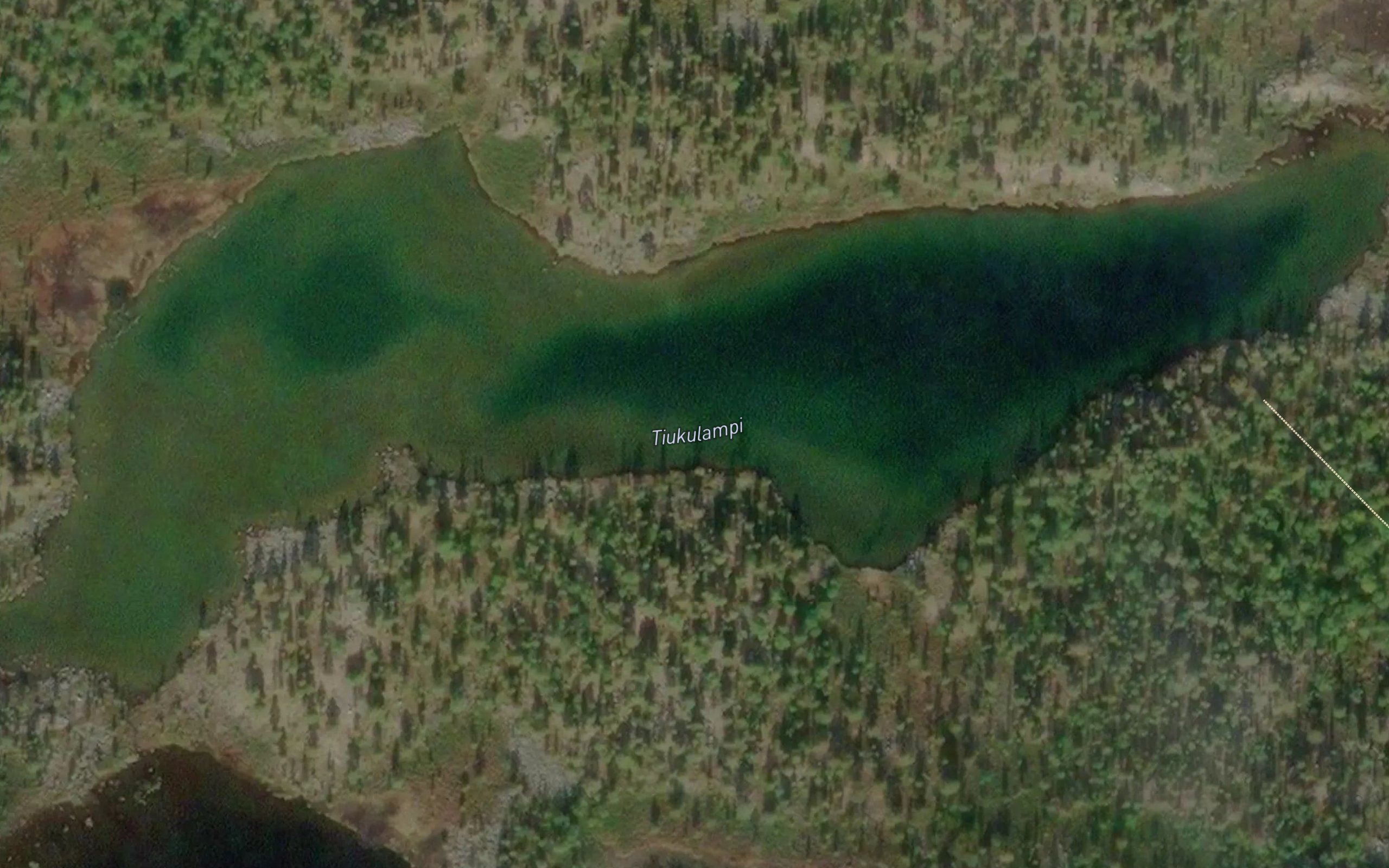 Tiukulampi
