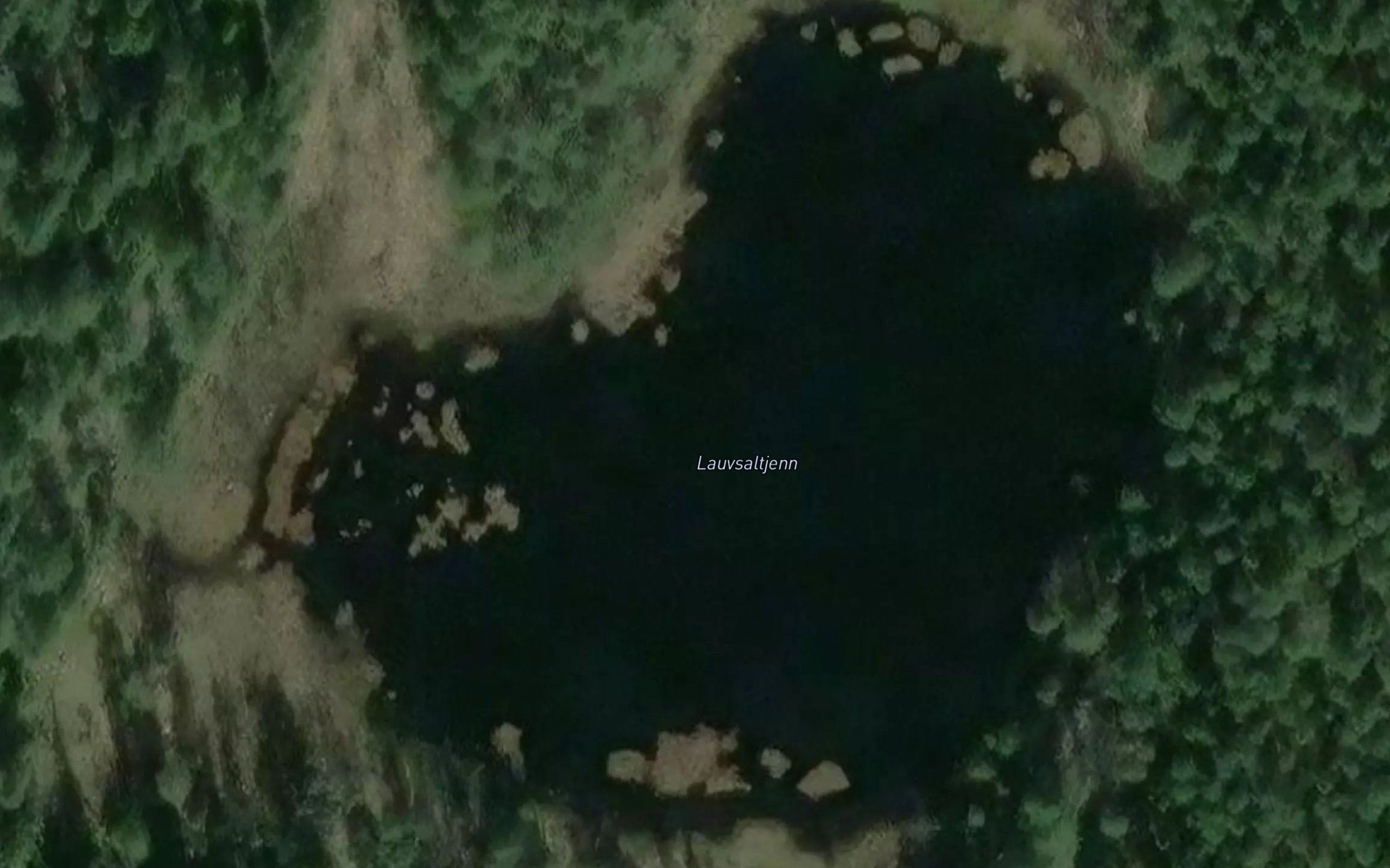 Lauvsaltjern