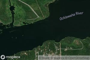 Lake Ocklawaha