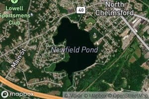 Newfield Pond