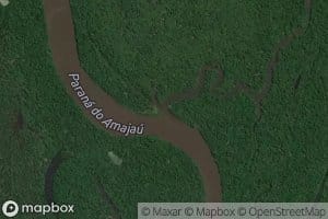 Parana Puacu